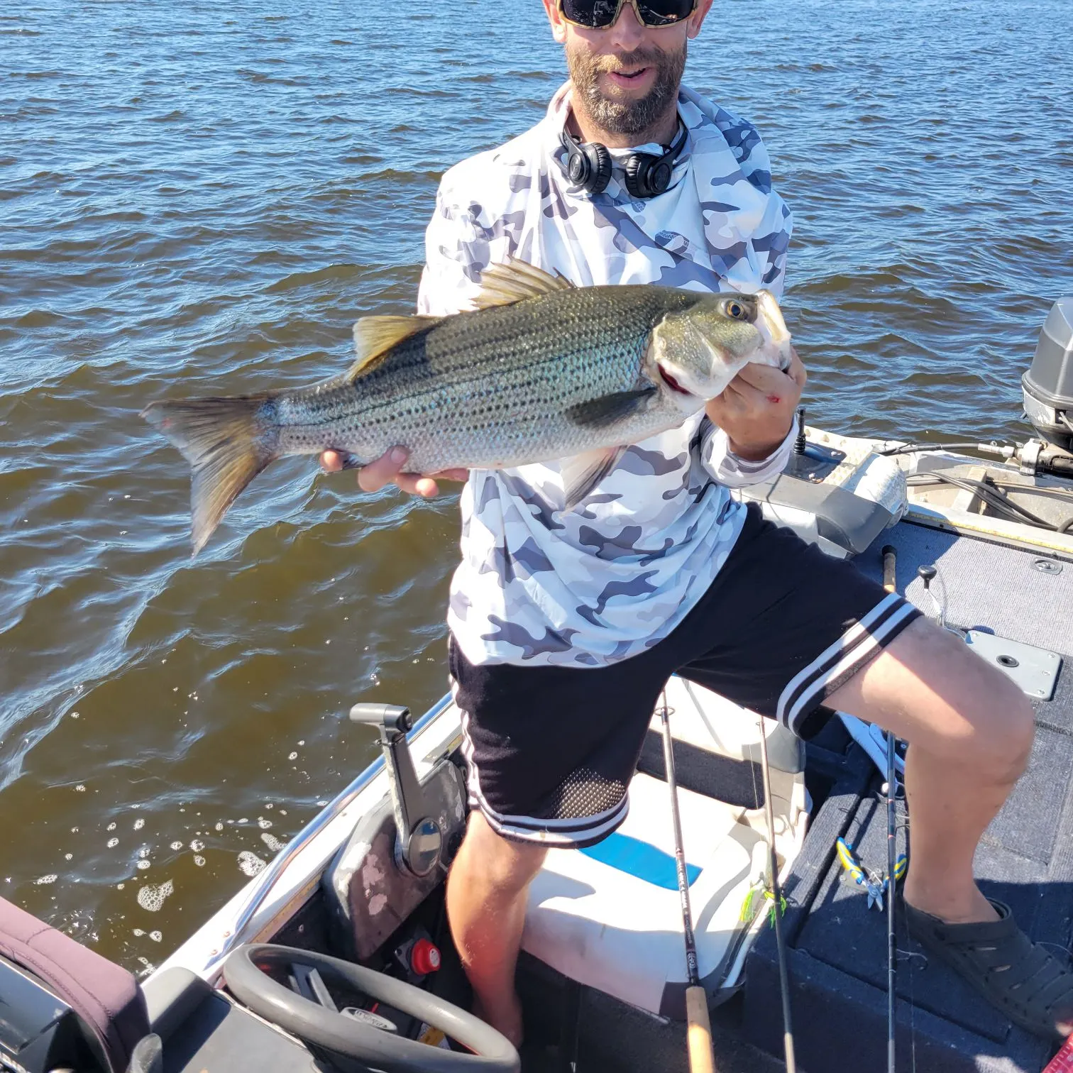 The most recent Hybrid striped bass catches on Fishbrain