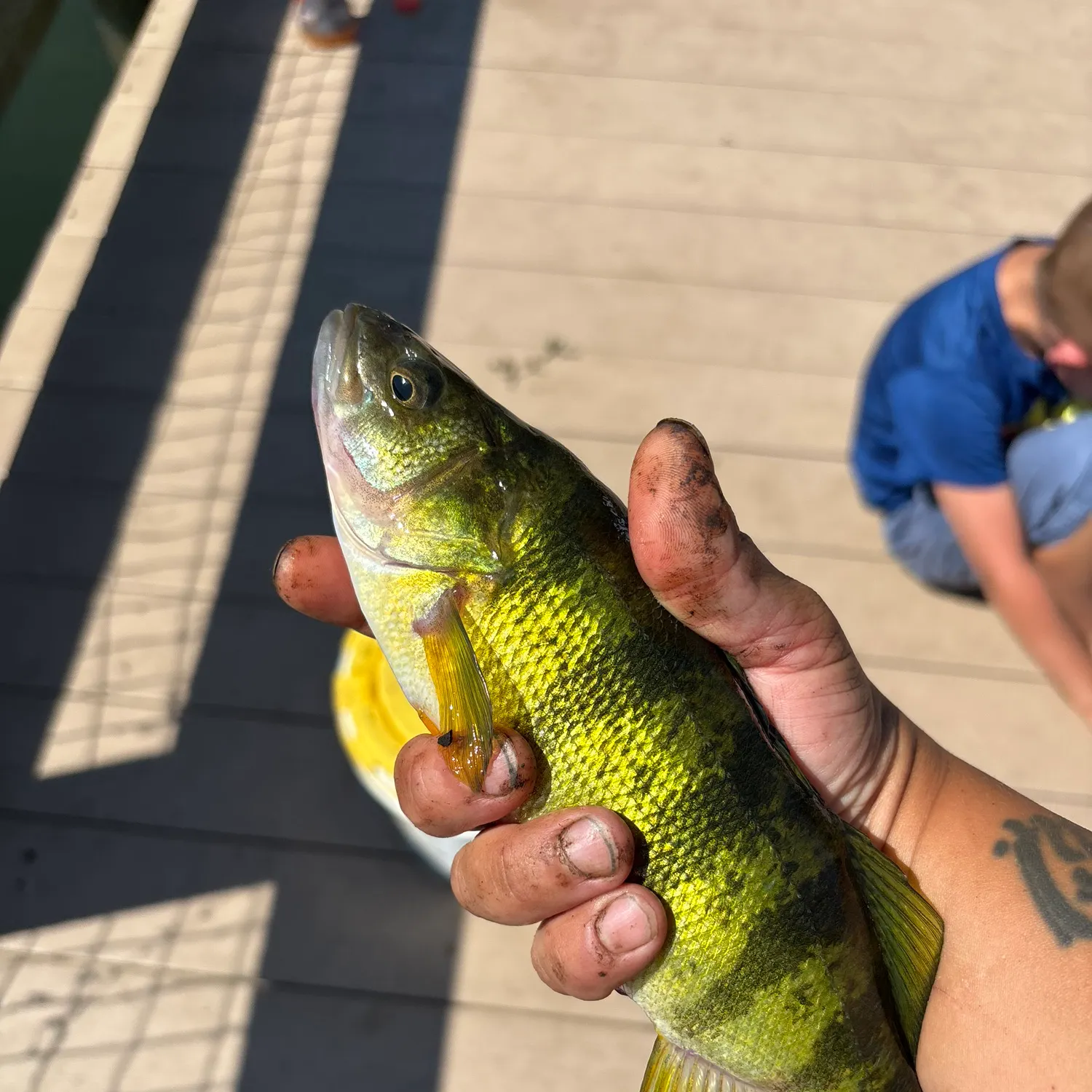 catch