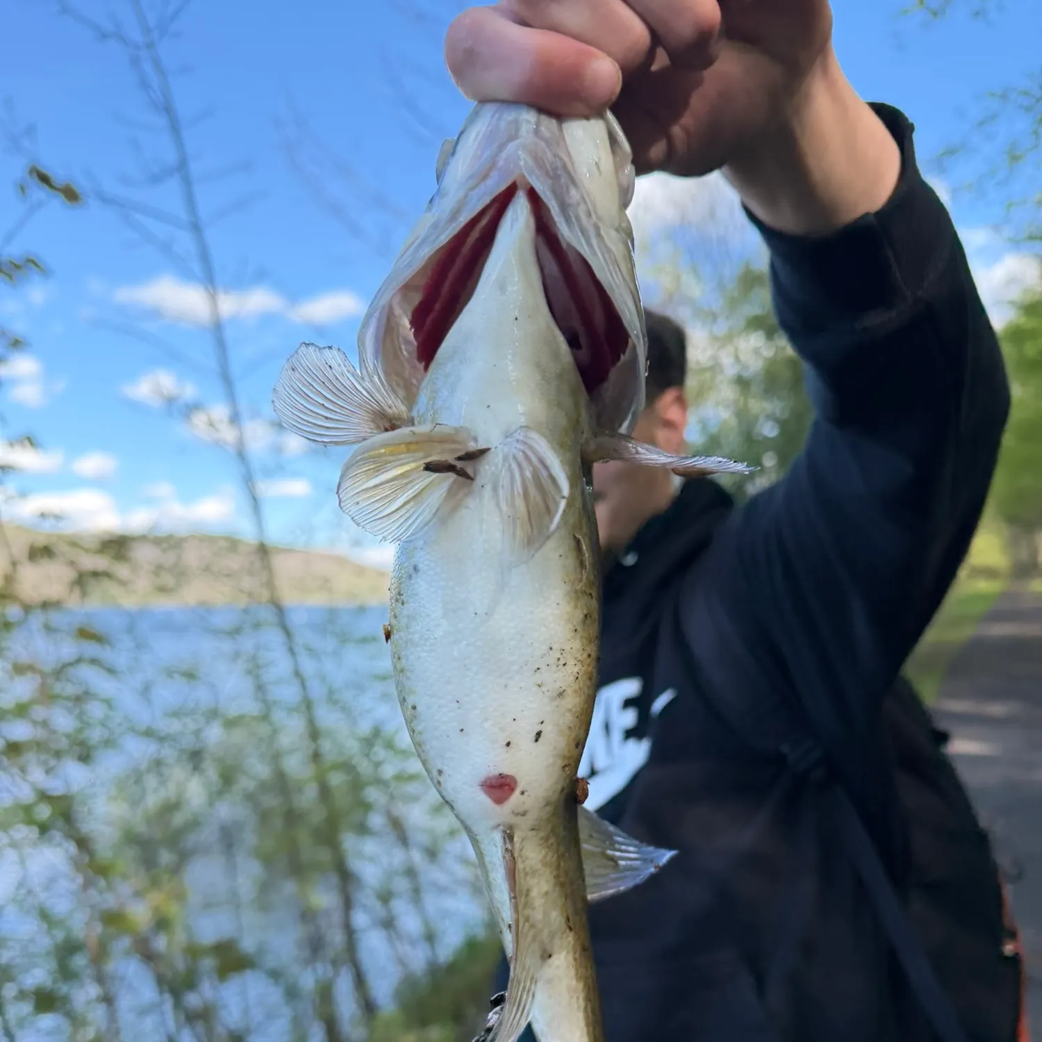 catch