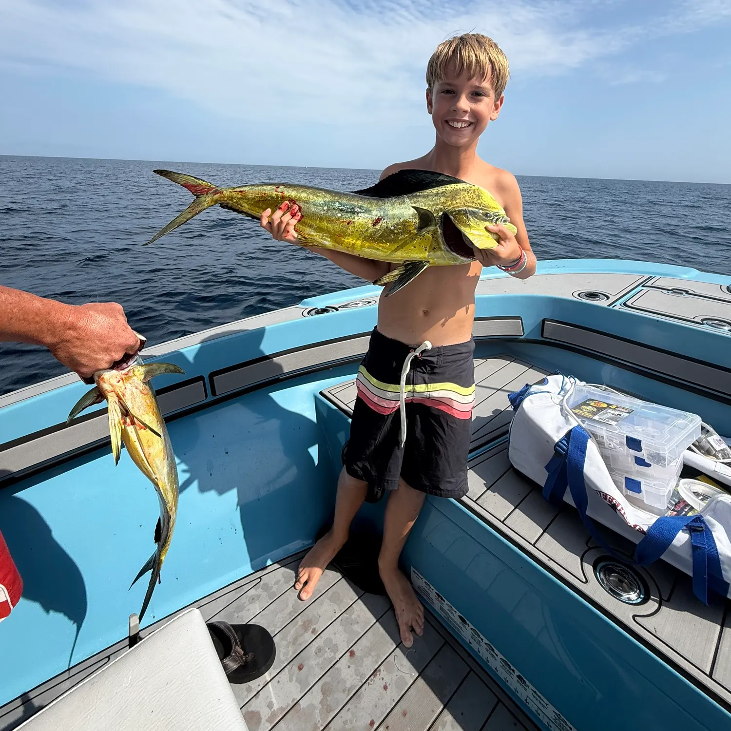 The most recent Common dolphinfish catches on Fishbrain
