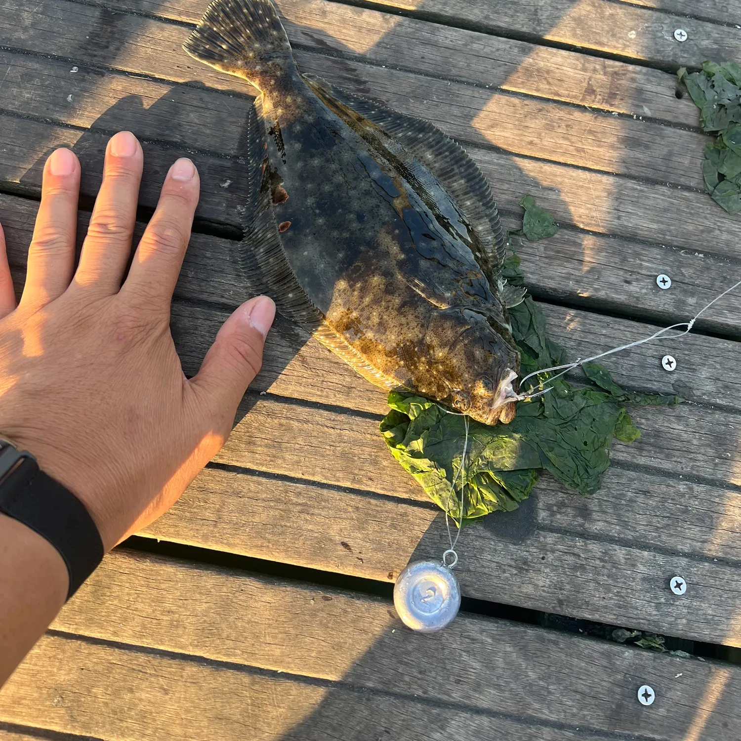 catch