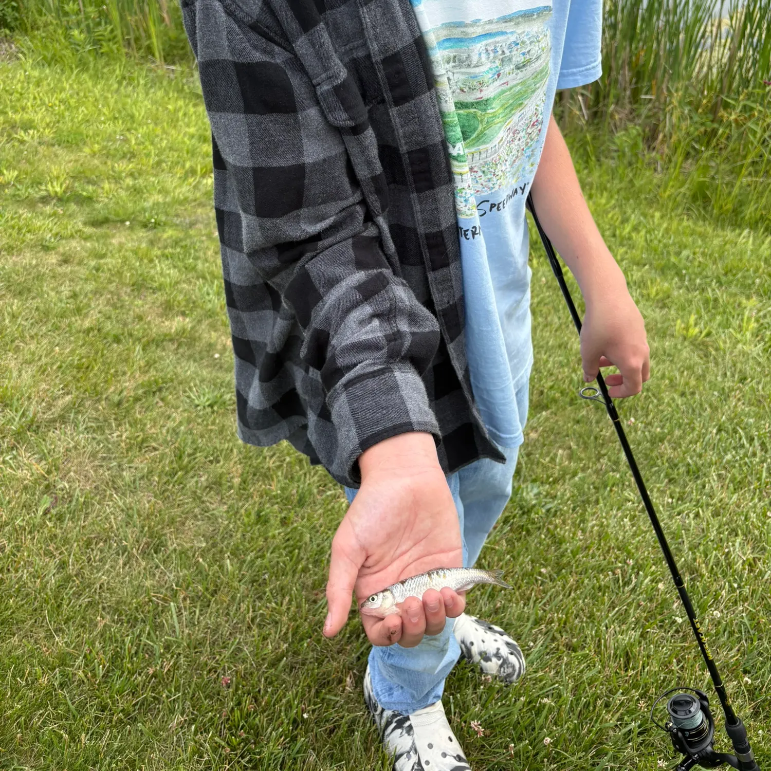 The most recent Common shiner catches on Fishbrain