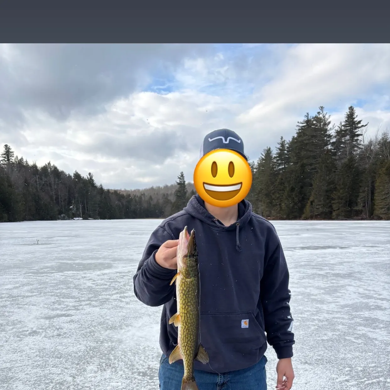 The most recent Chain pickerel catches on Fishbrain