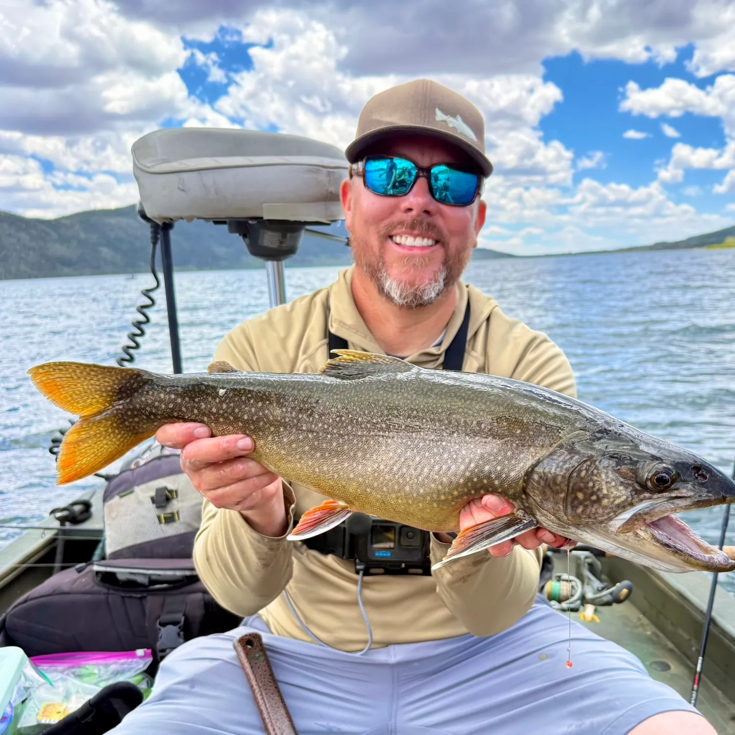 The most recent Splake catches on Fishbrain