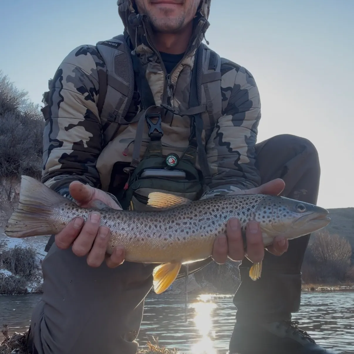 The most recent Brown trout catches on Fishbrain