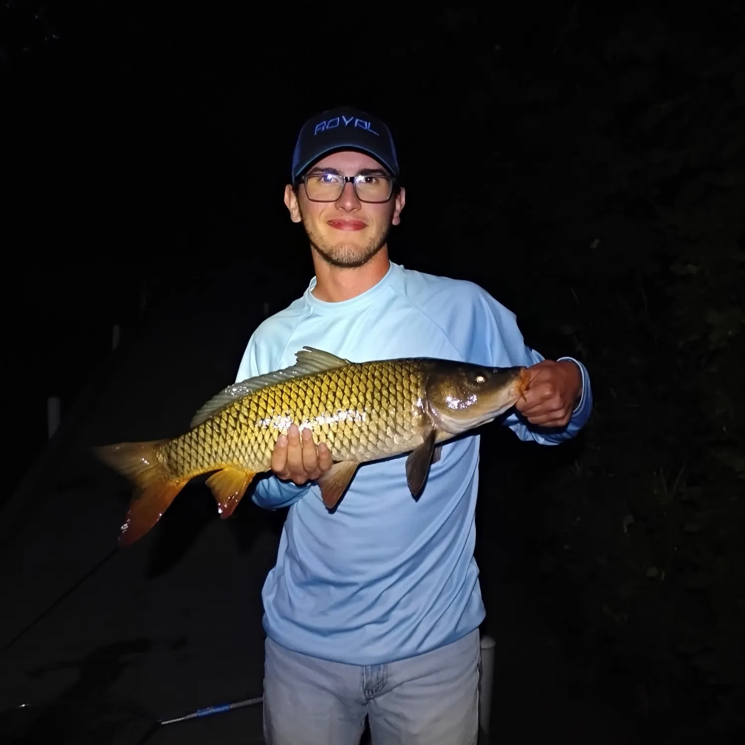 Common carp caught on Fishbrain