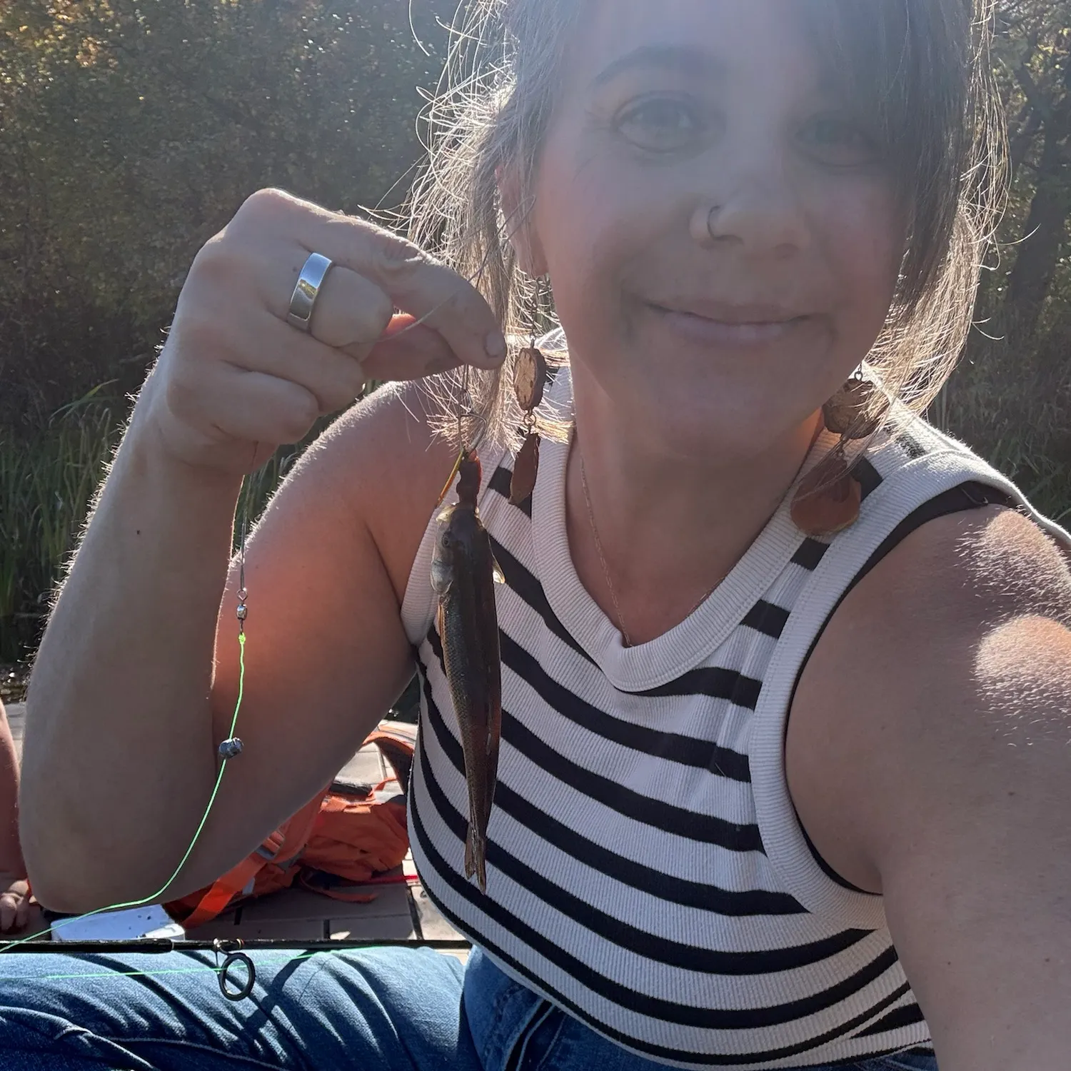 Creek chub caught on Fishbrain