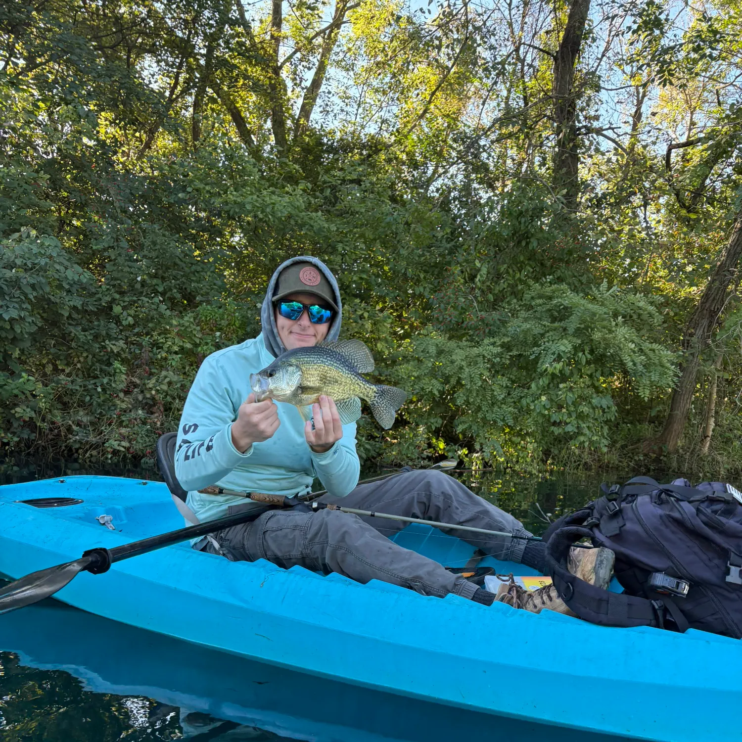 Black crappie caught on Fishbrain