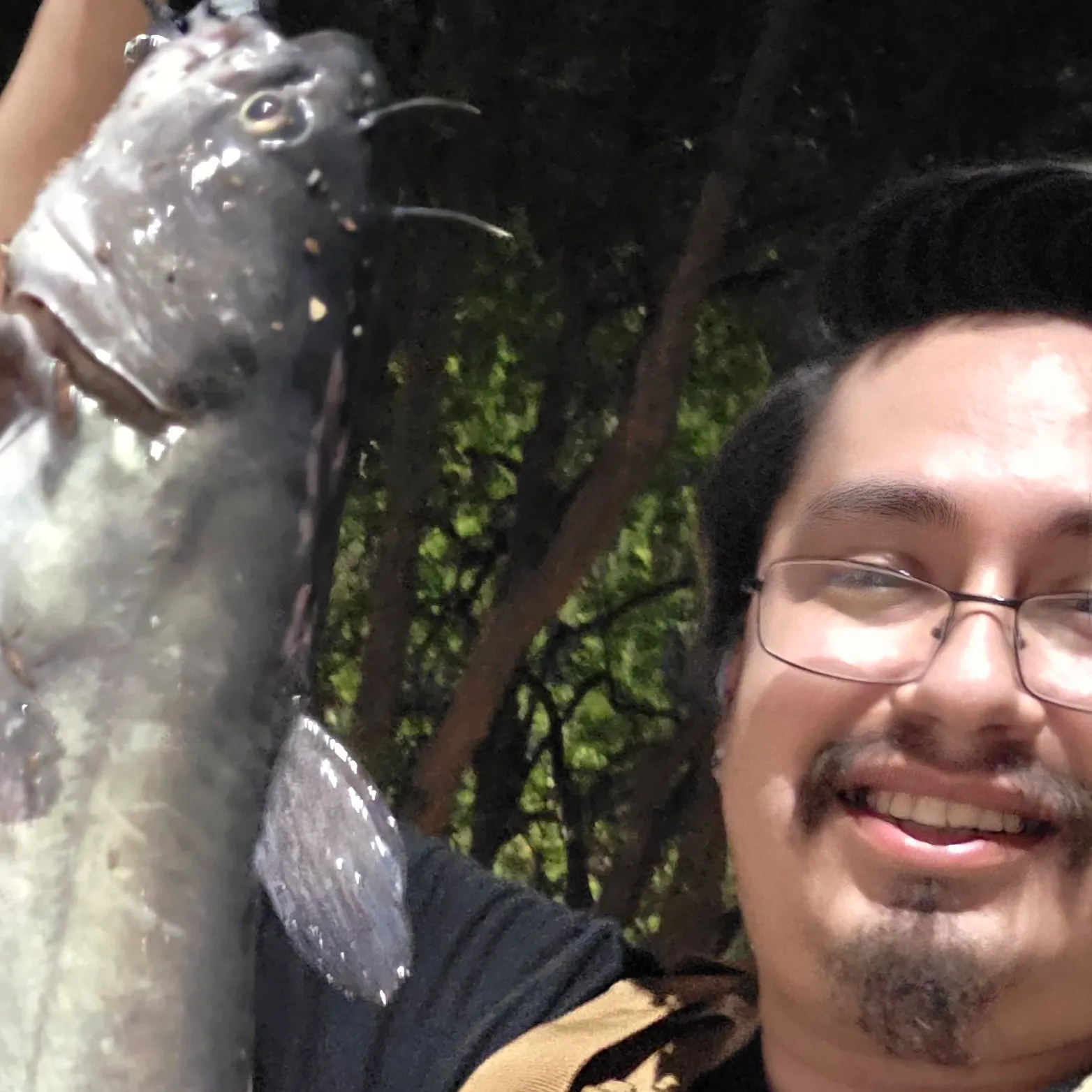 Channel catfish caught on Fishbrain