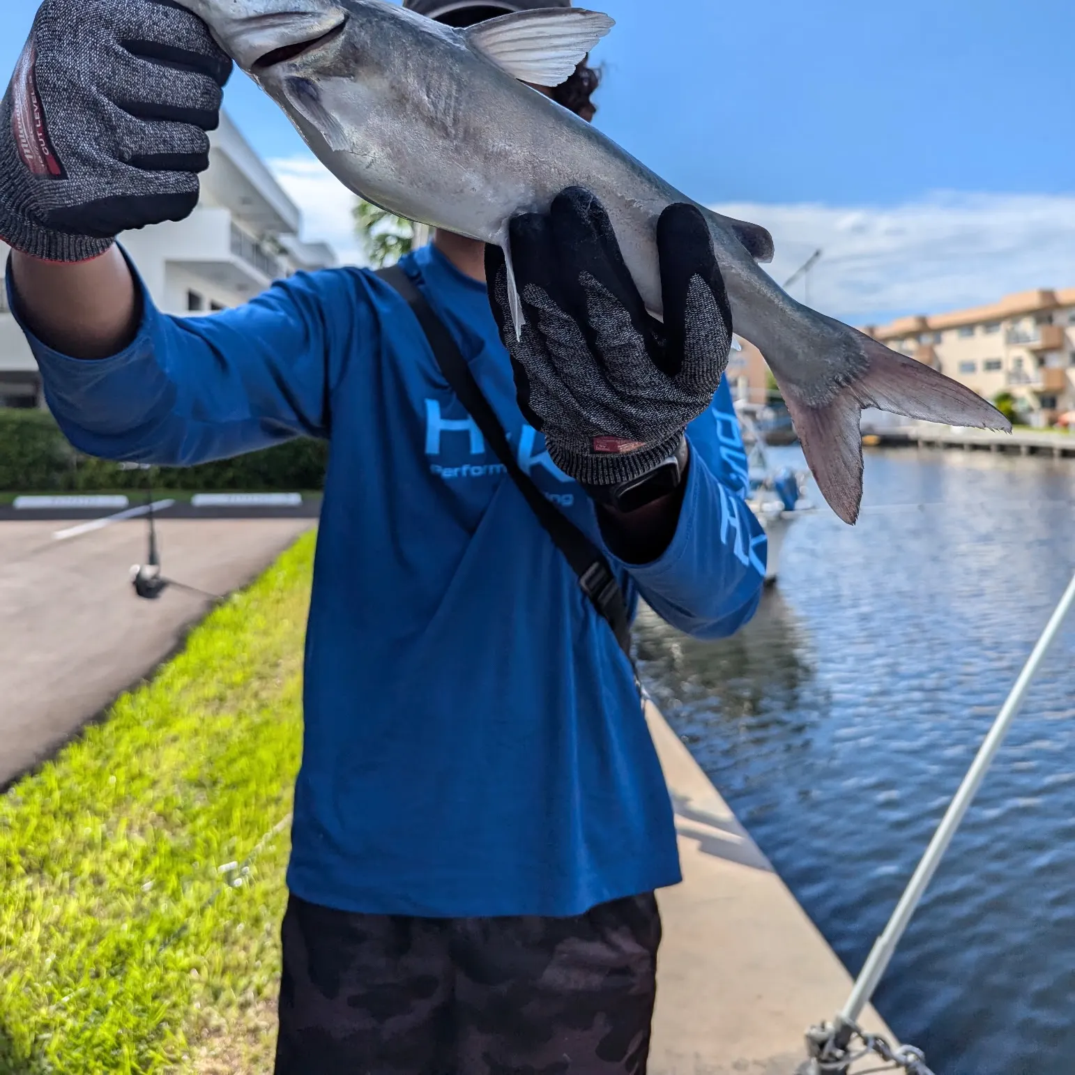 The most recent Hardhead sea catfish catches on Fishbrain
