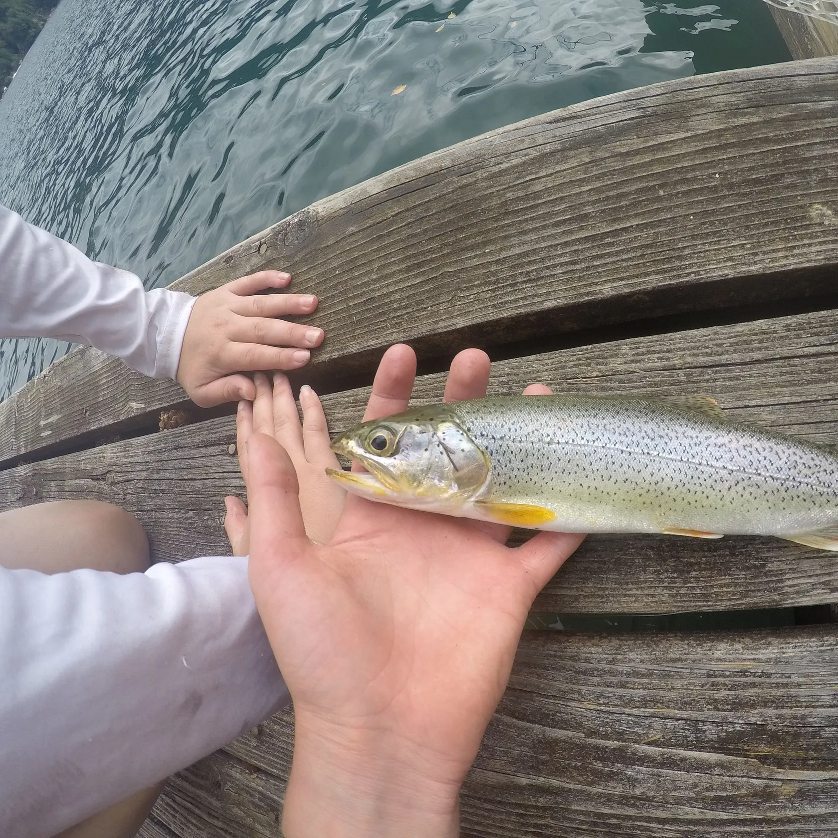 Coastal cutthroat trout caught on Fishbrain
