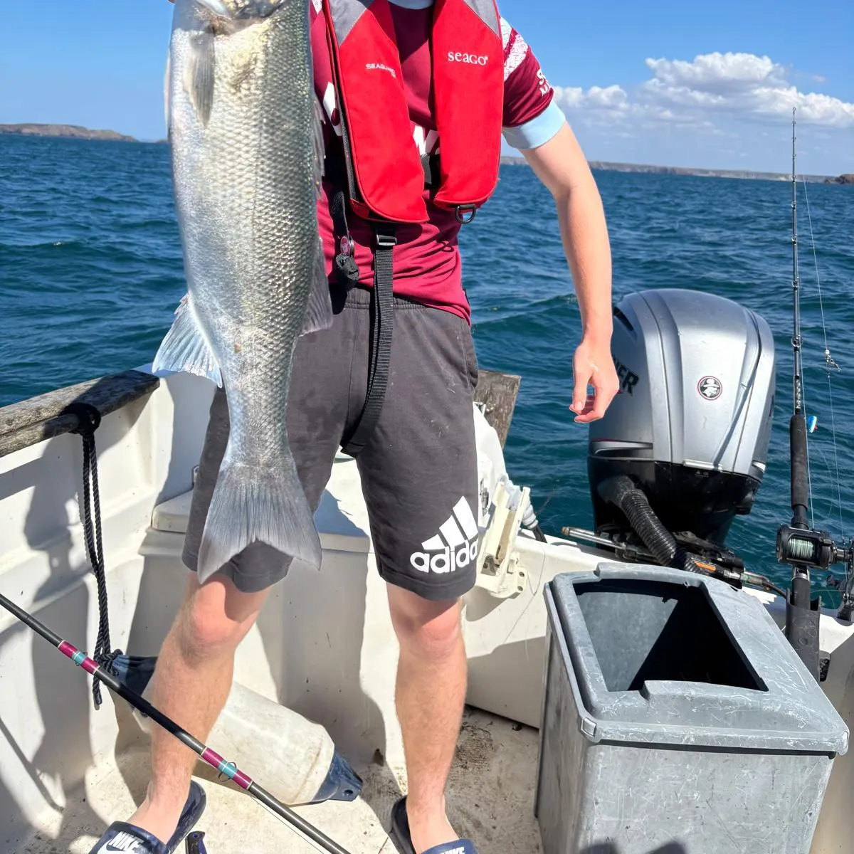 European seabass caught on Fishbrain