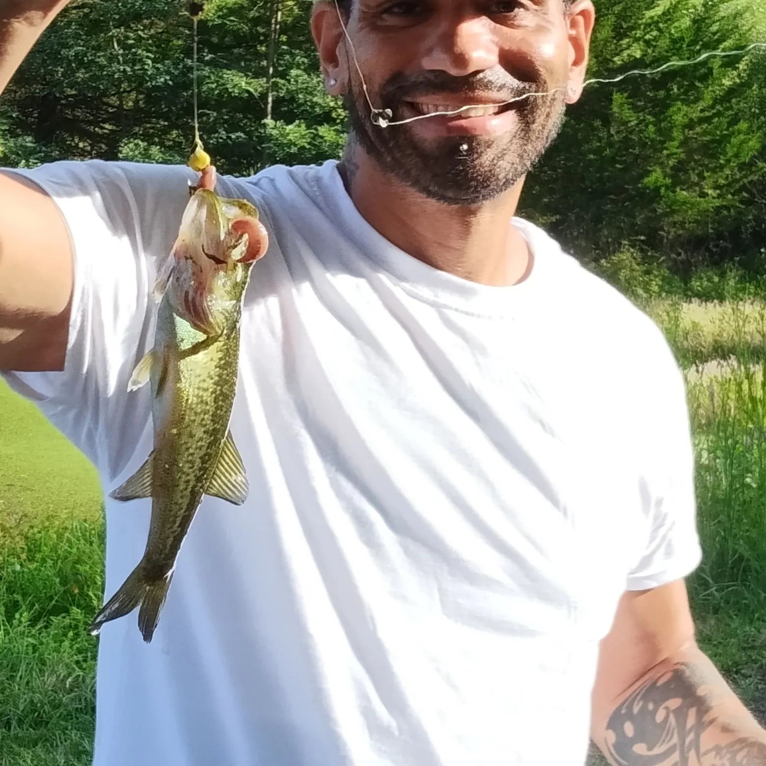 Largemouth bass caught on Fishbrain