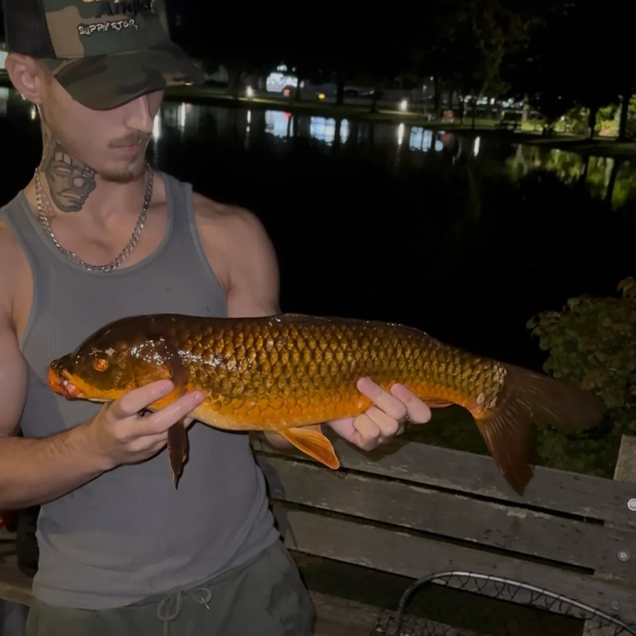The most recent Koi x common carp catches on Fishbrain