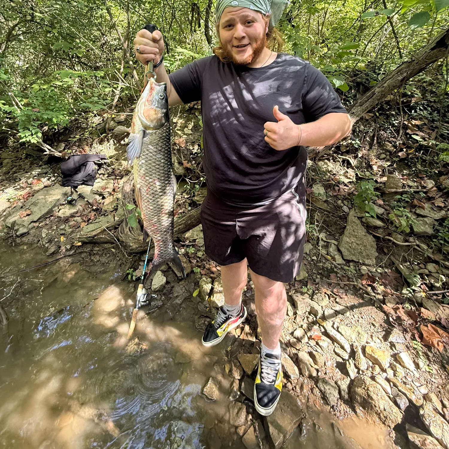 Grass carp caught on Fishbrain