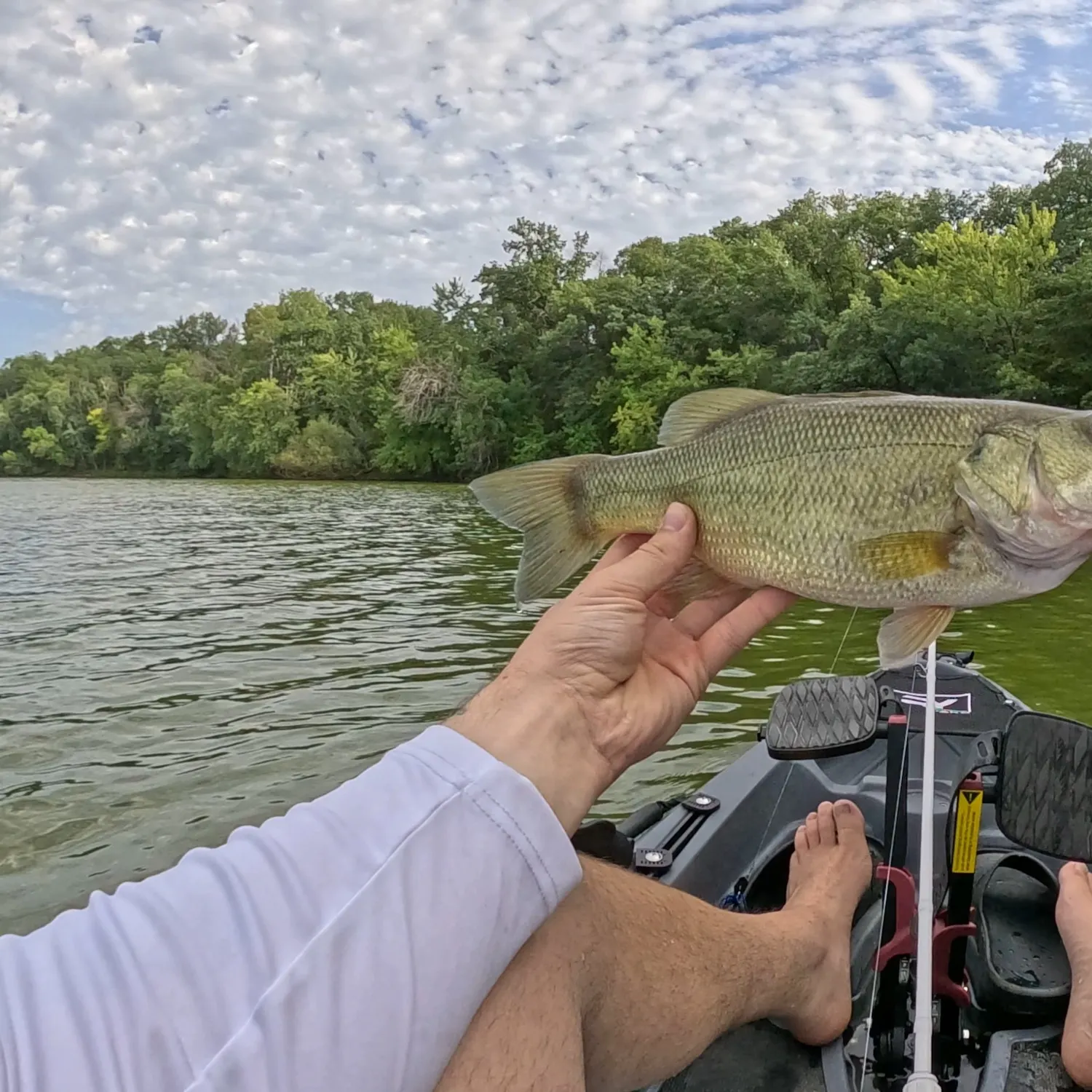 Largemouth bass caught on Fishbrain