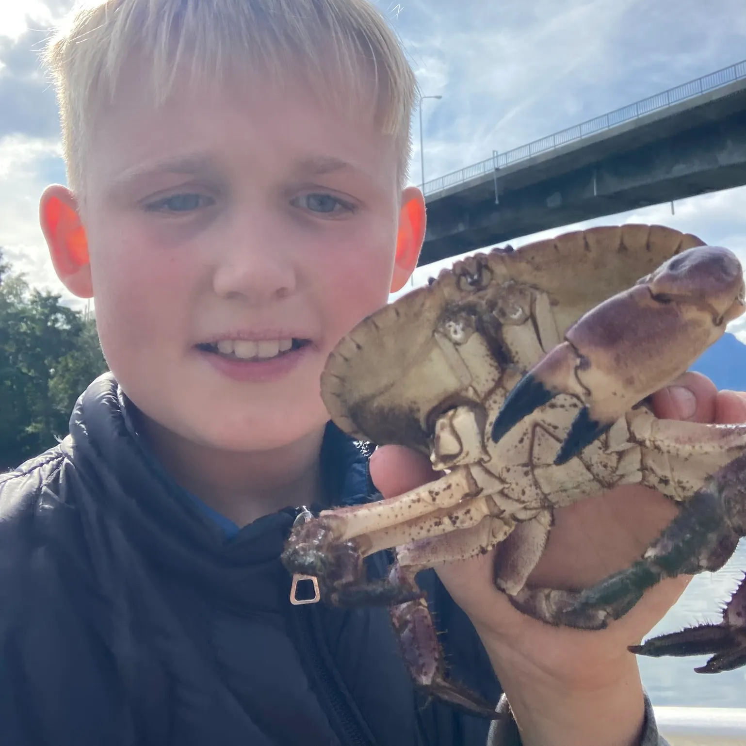 The most recent Jonah crab catches on Fishbrain
