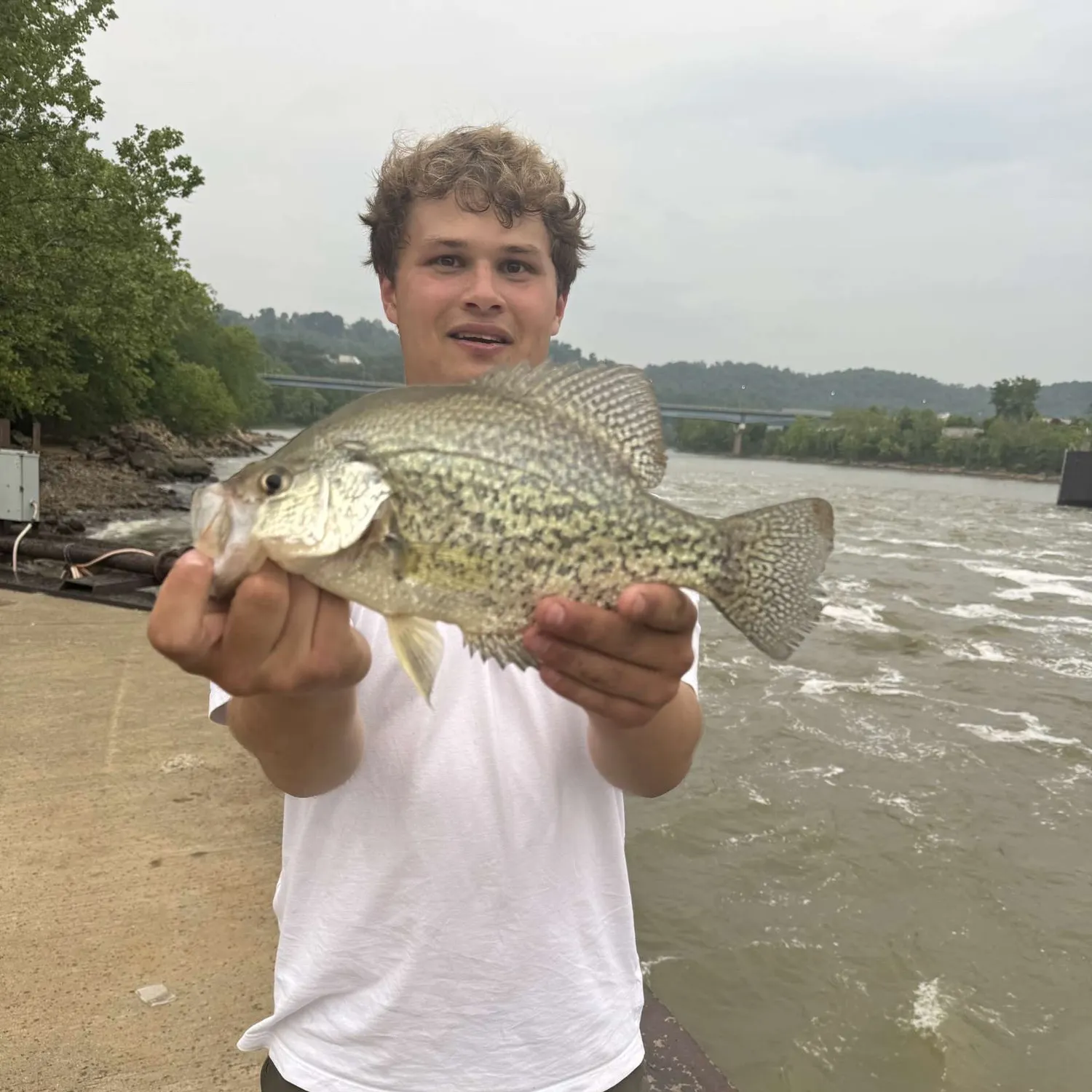 angler catch