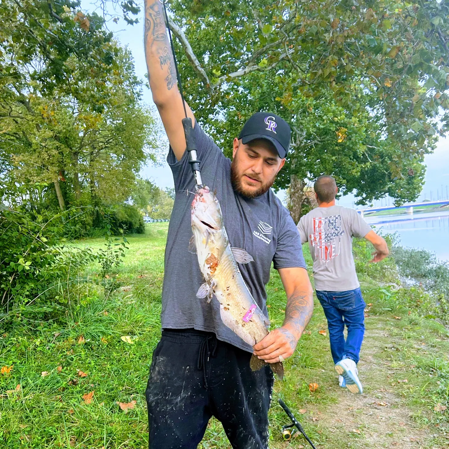 Fish caught on Fishbrain