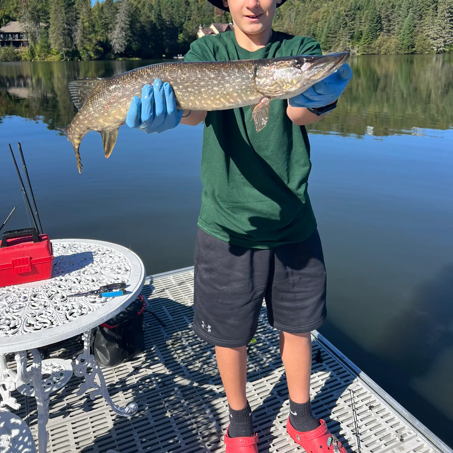 Northern pike caught on Fishbrain