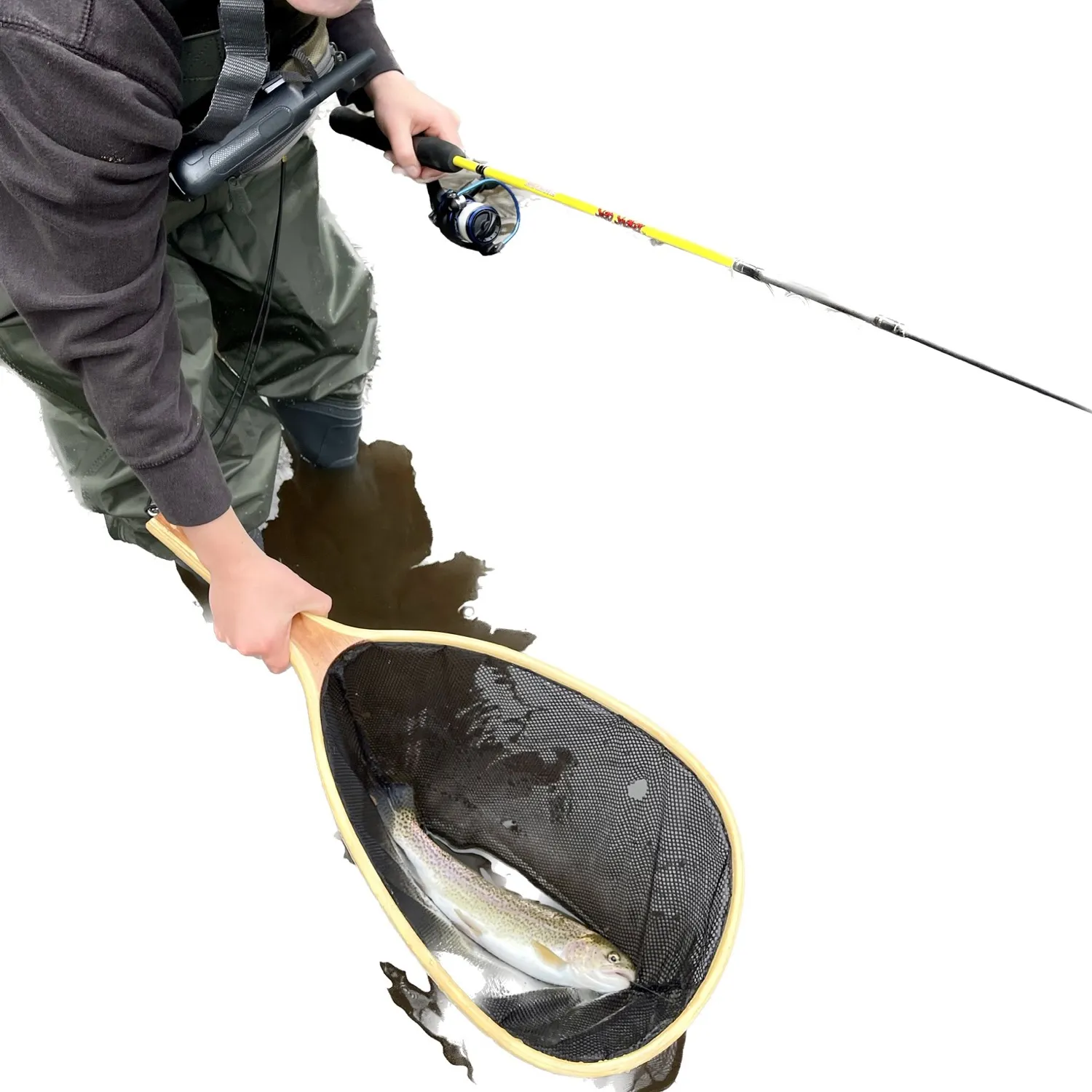 Rainbow trout caught on Fishbrain