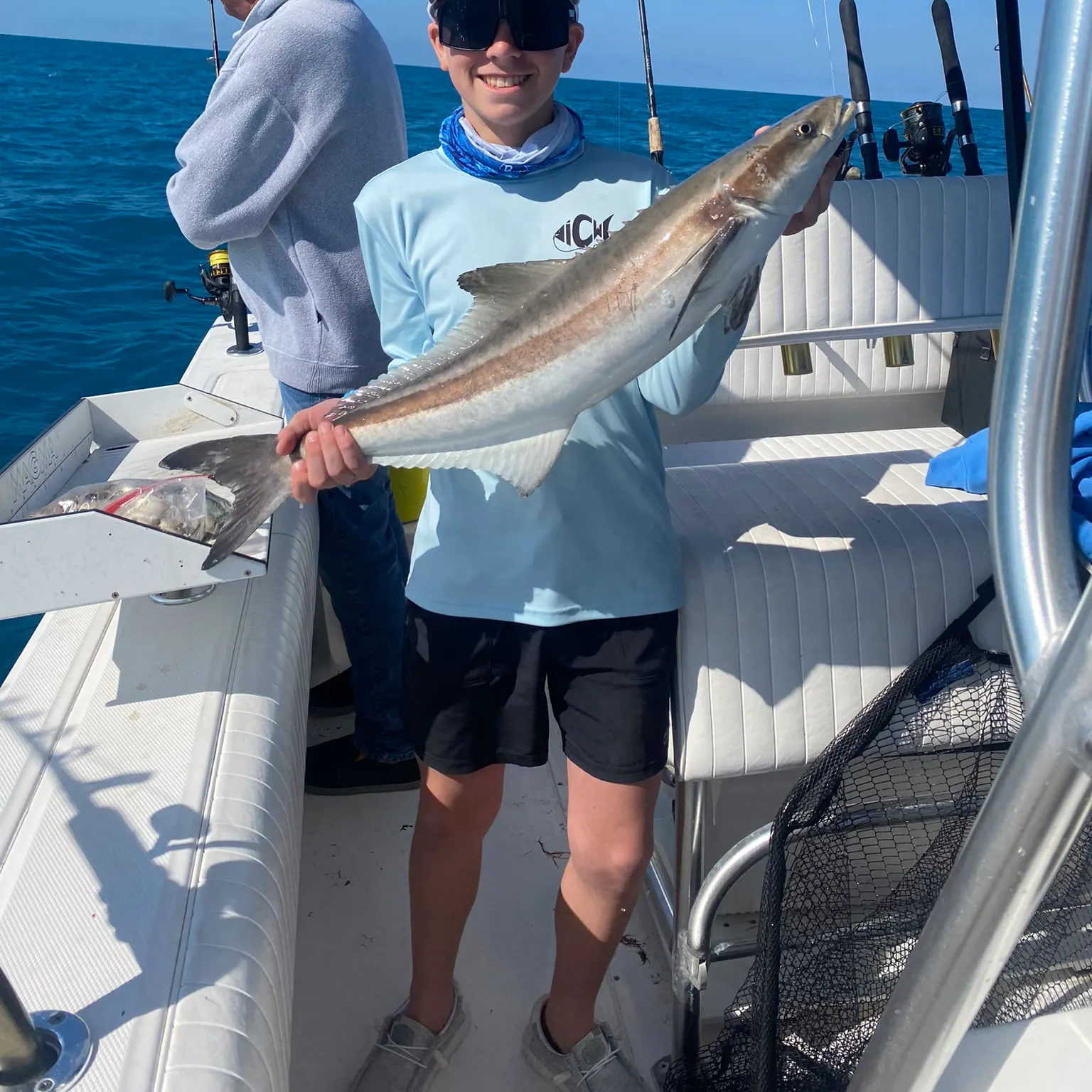 The most recent Cobia catches on Fishbrain
