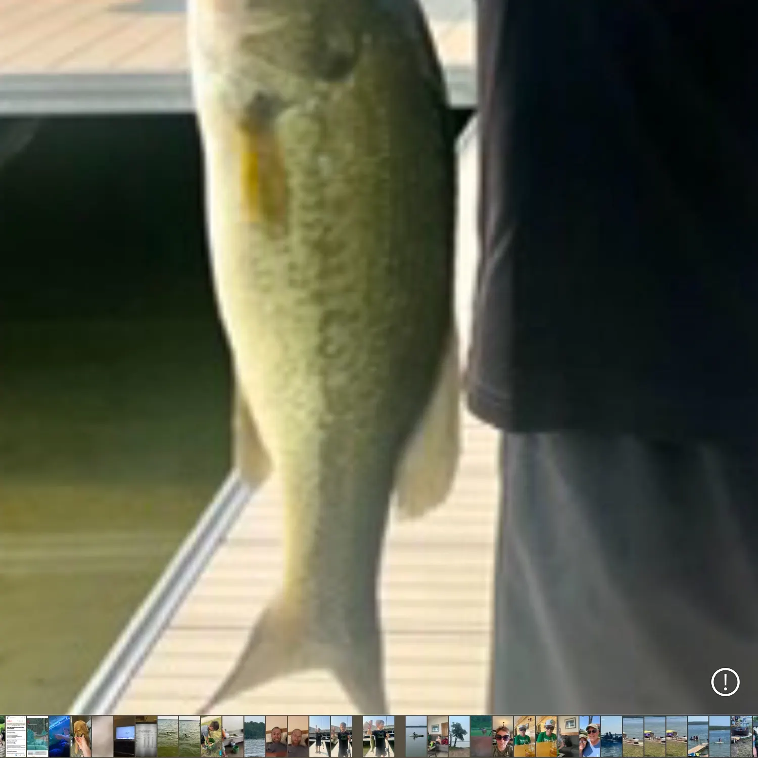 recently logged catches