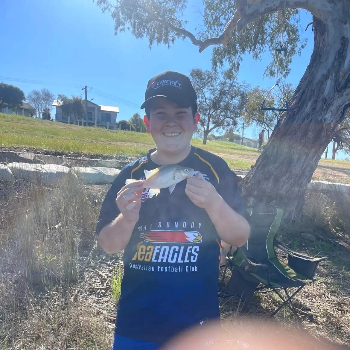 The most recent Golden perch catches on Fishbrain
