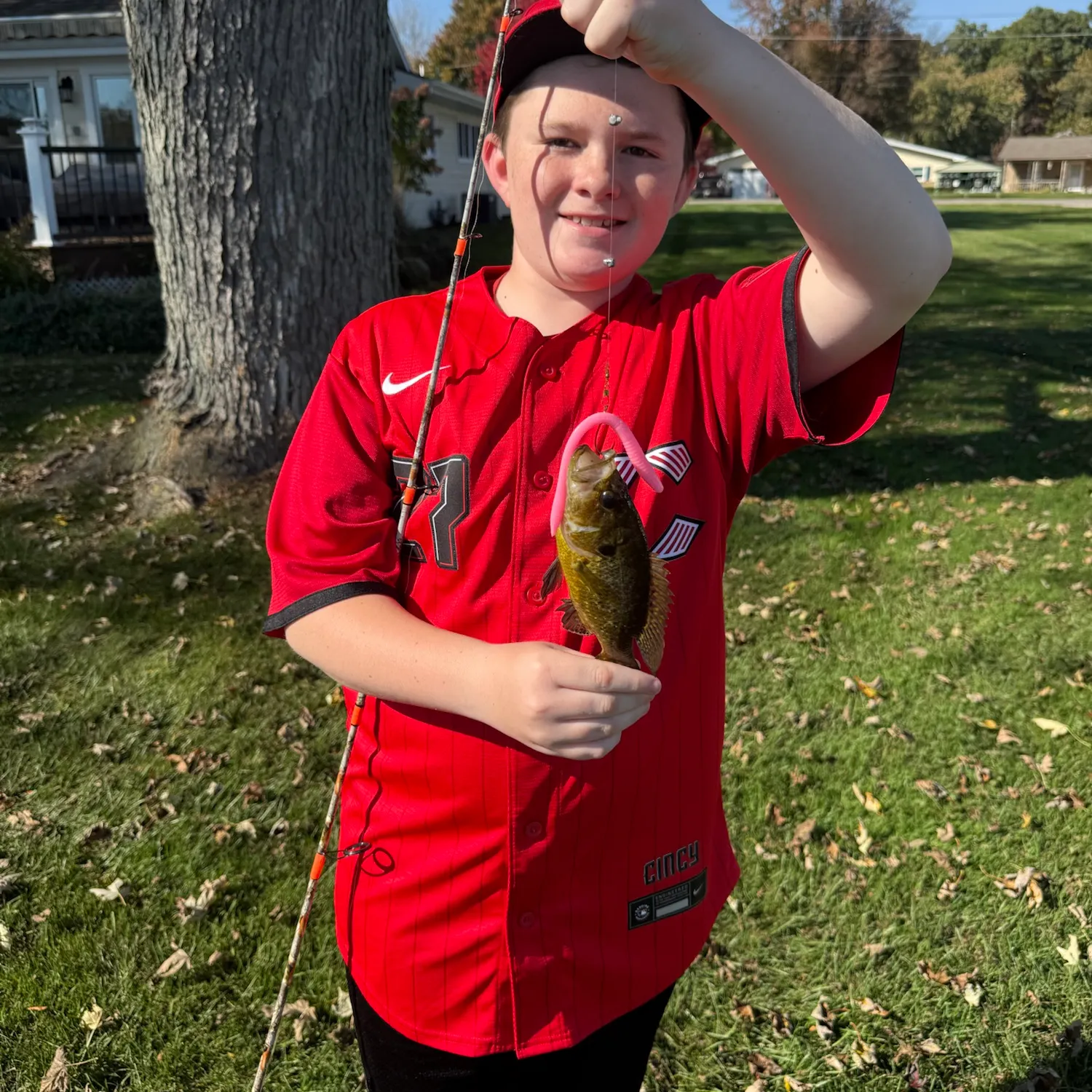 Rock bass caught on Fishbrain