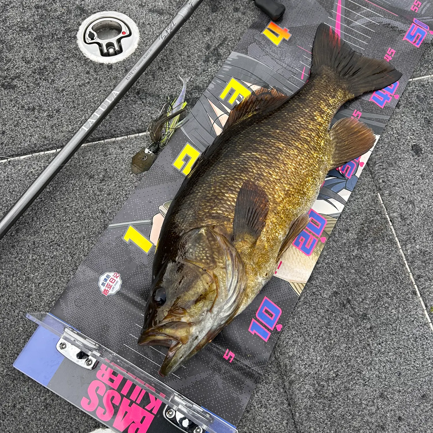 recently logged catches