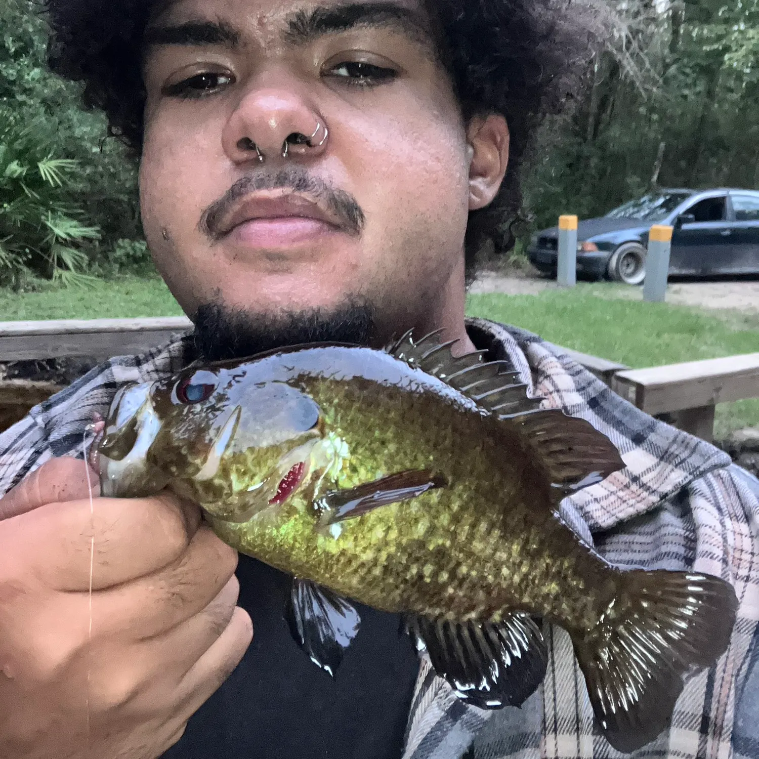 The most recent Warmouth catches on Fishbrain