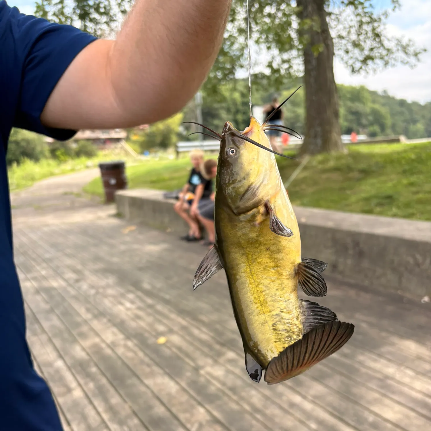 catch