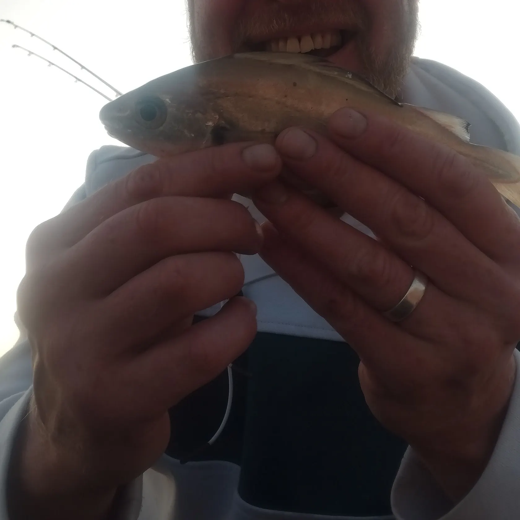 The most recent Pouting catches on Fishbrain