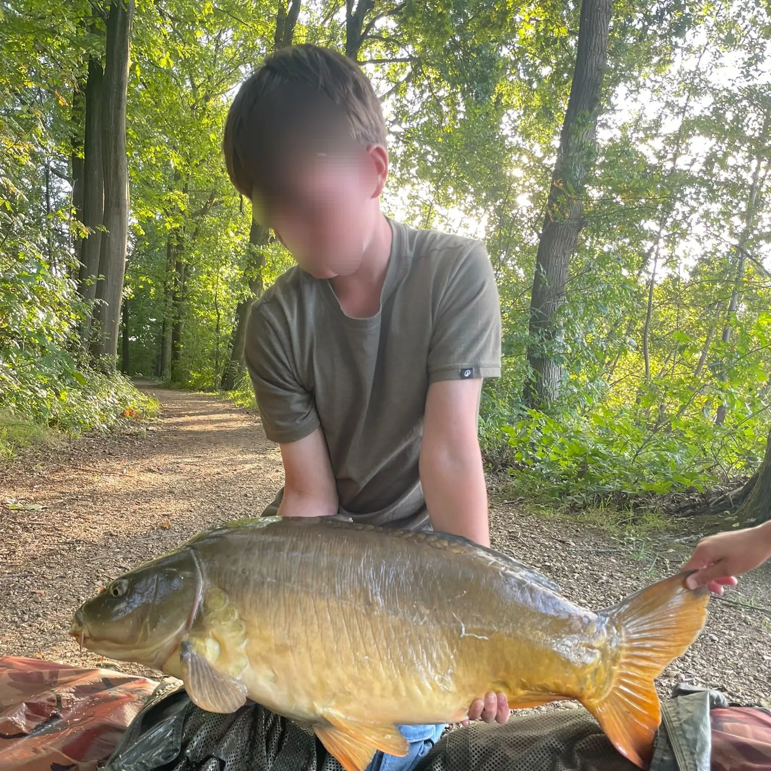 Mirror carp caught on Fishbrain