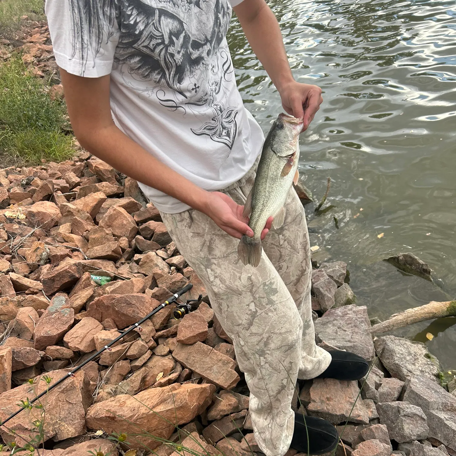 Largemouth bass caught on Fishbrain