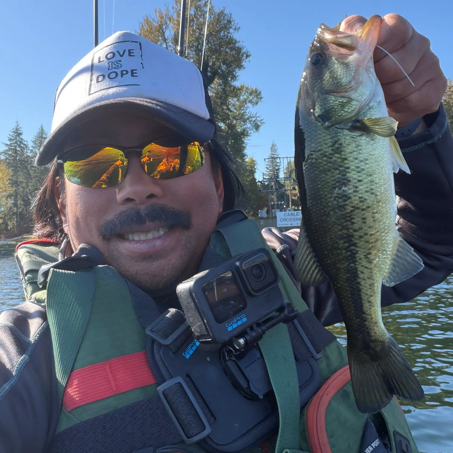 Largemouth bass caught on Fishbrain