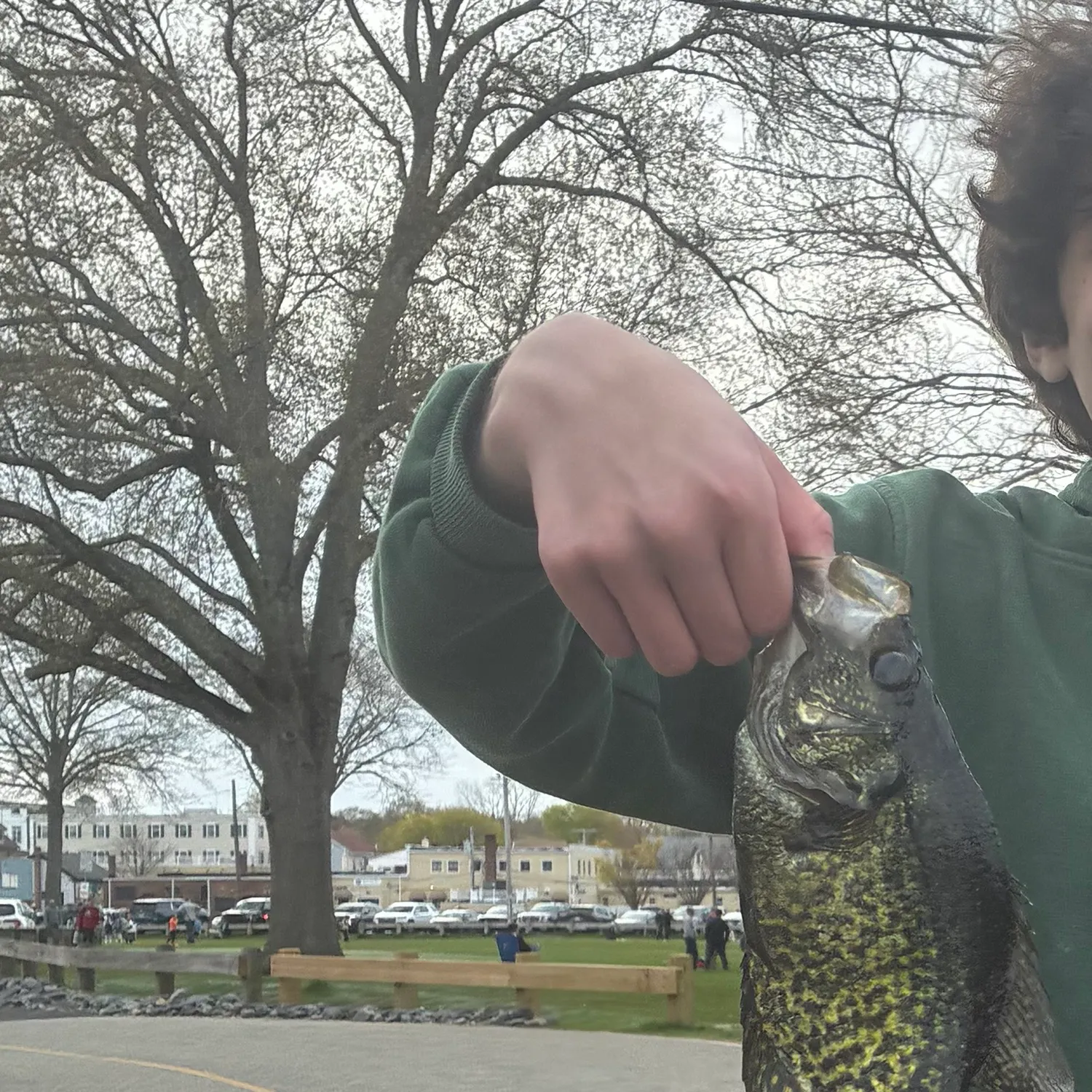 The most recent Black crappie catches on Fishbrain