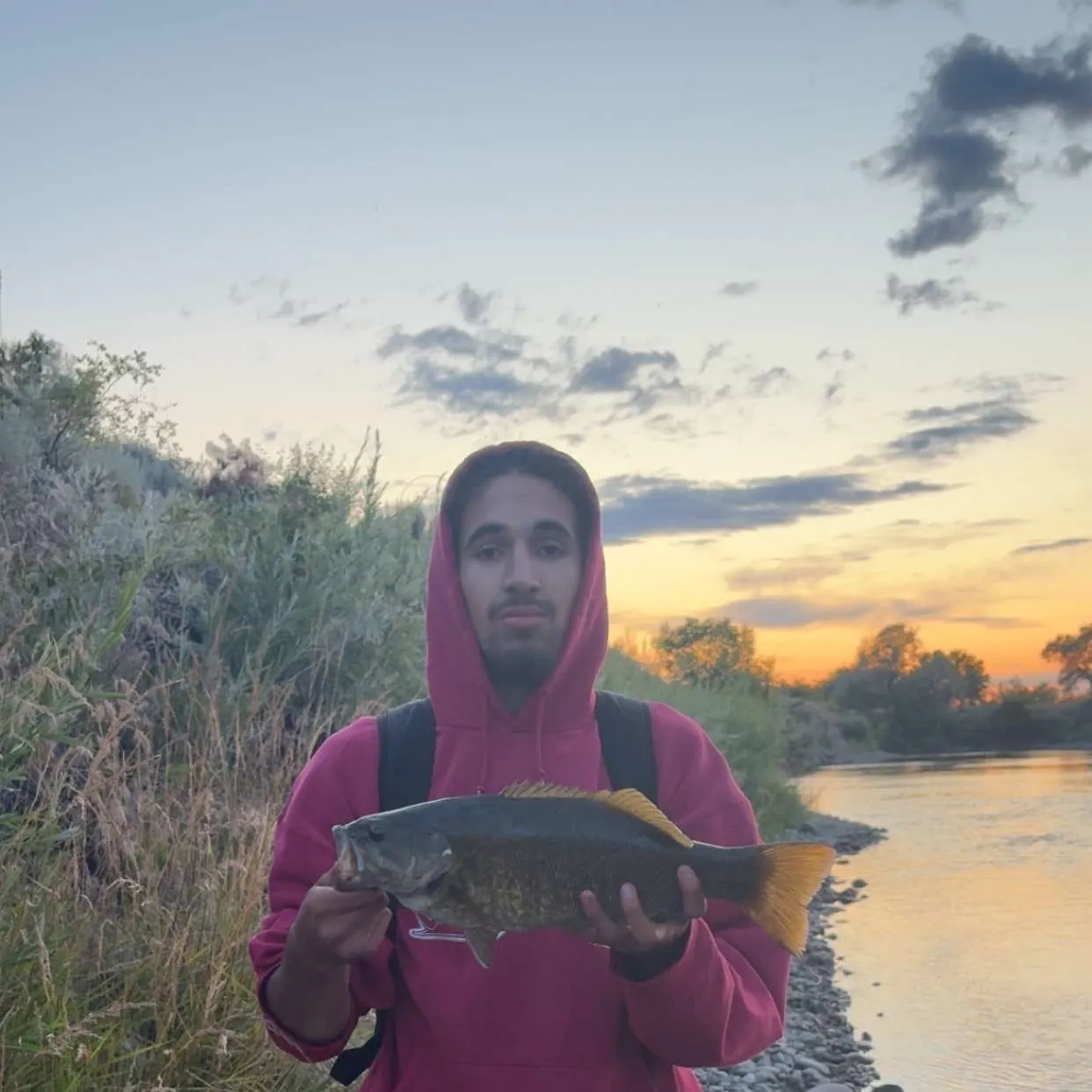 The most recent Smallmouth bass catches on Fishbrain