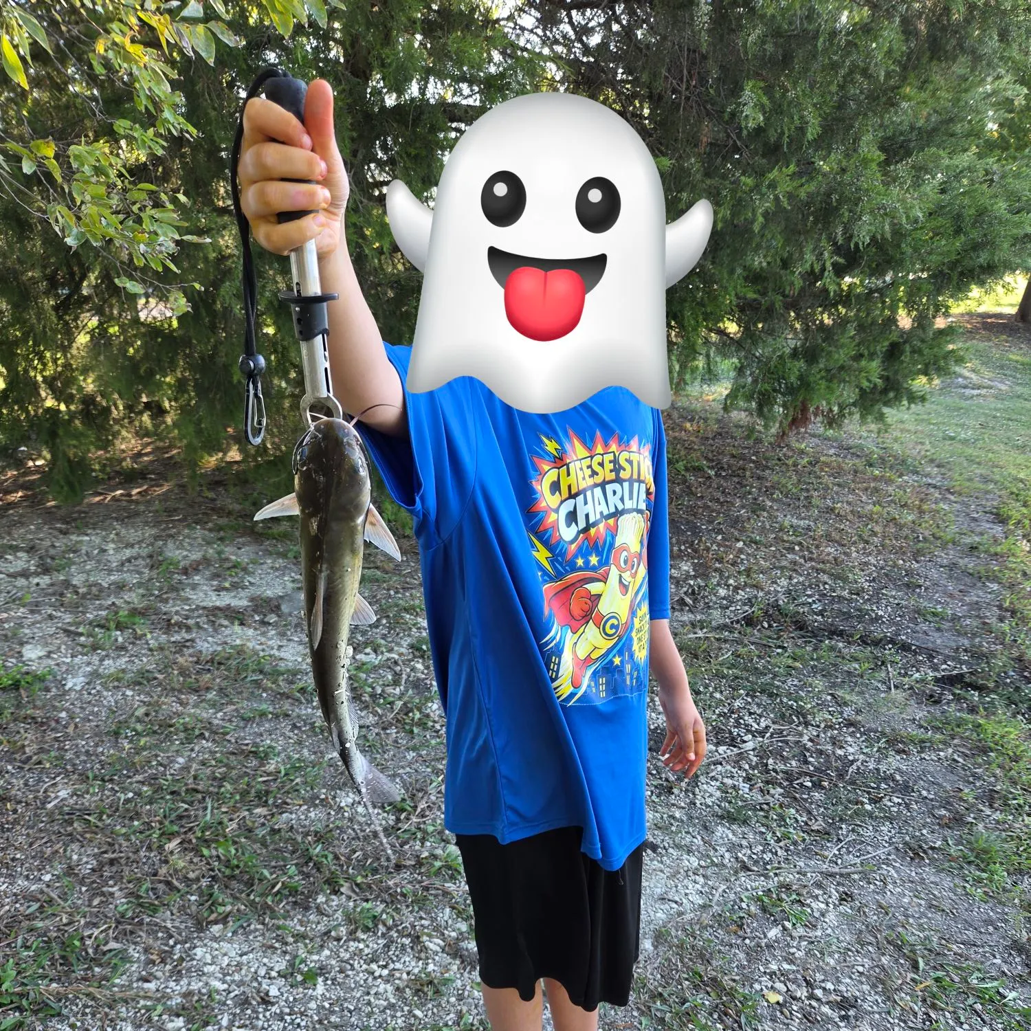 Channel catfish caught on Fishbrain