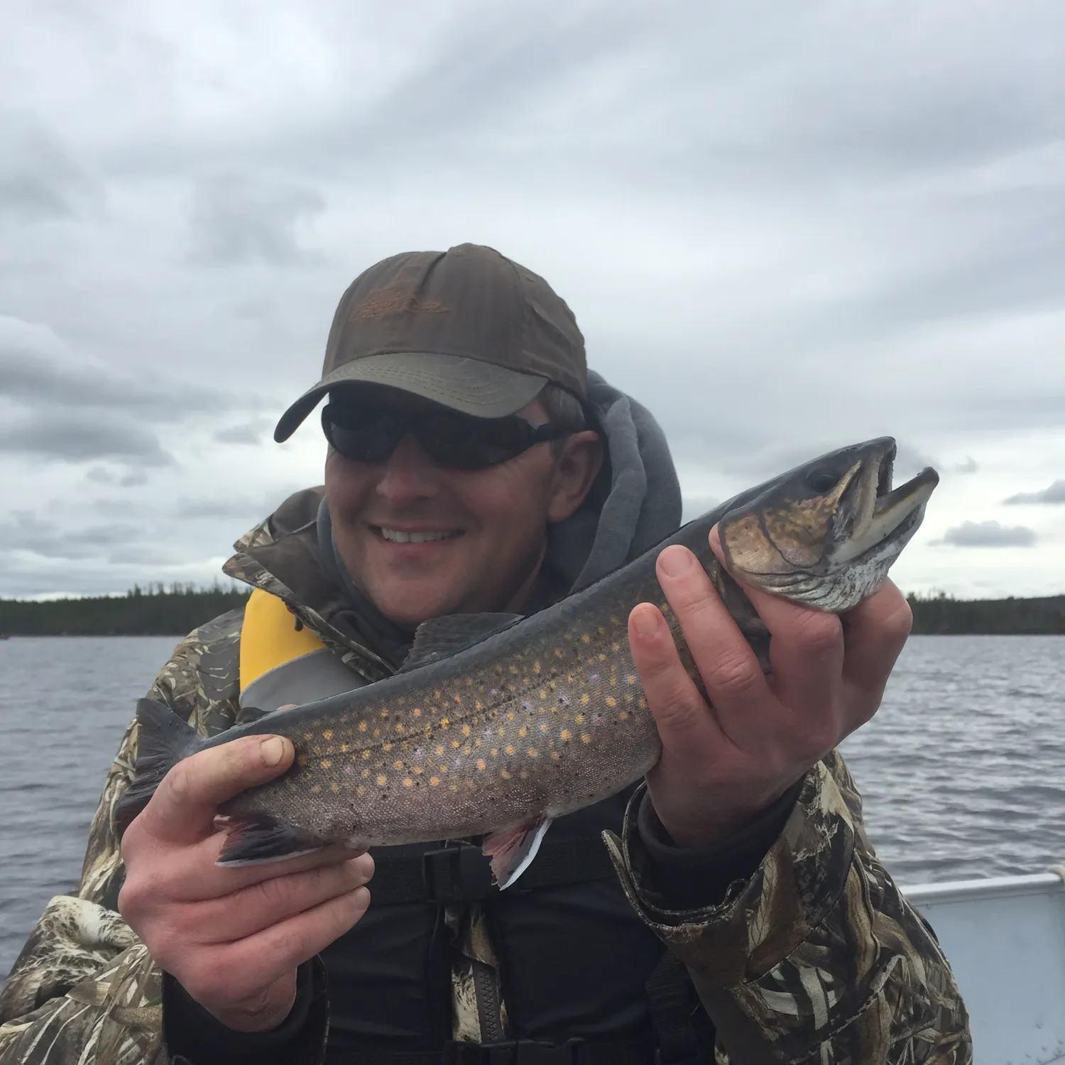 Brook trout caught on Fishbrain