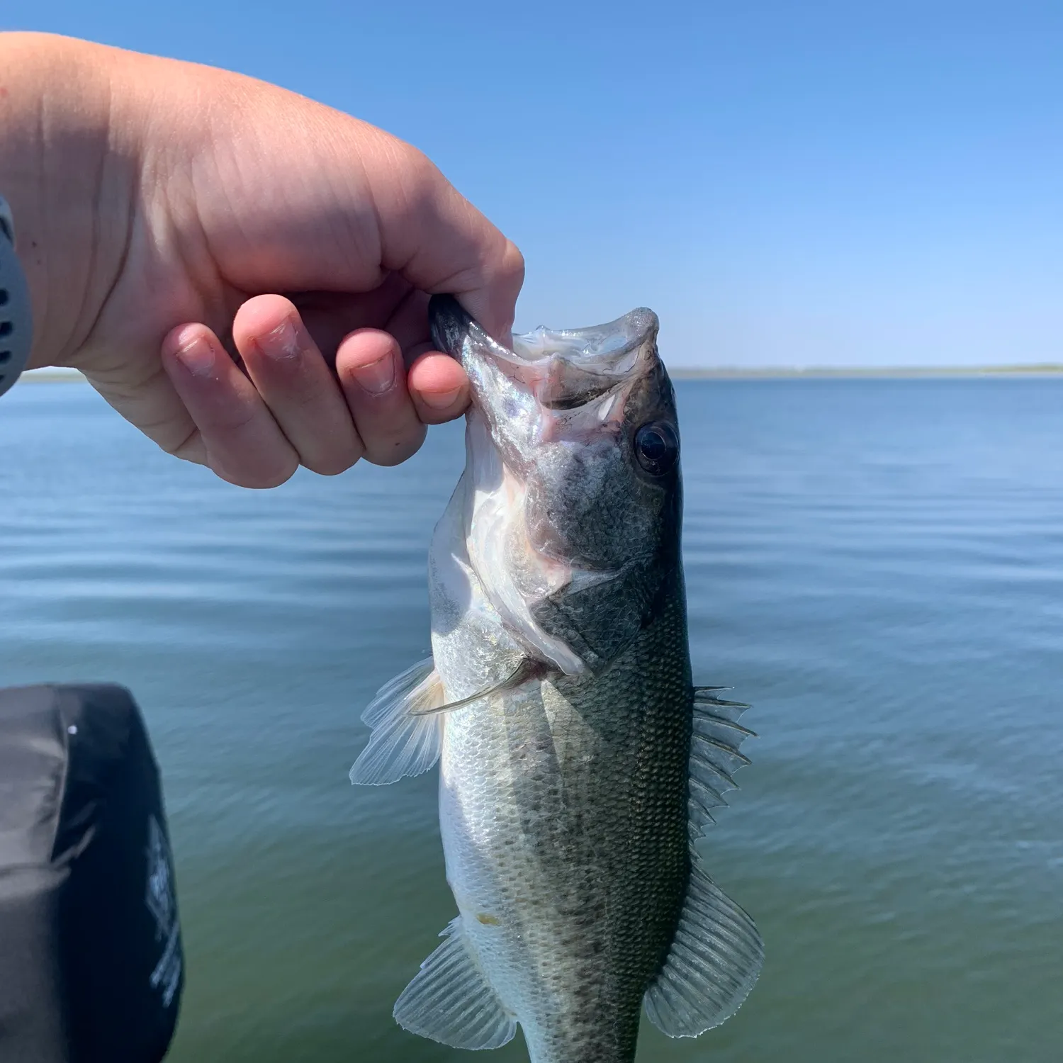 ᐅ O. H. Ivie Lake fishing reports🎣• Brownwood, TX (United States) fishing