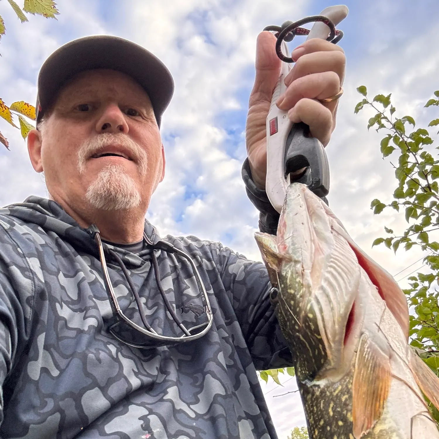 Northern pike caught on Fishbrain