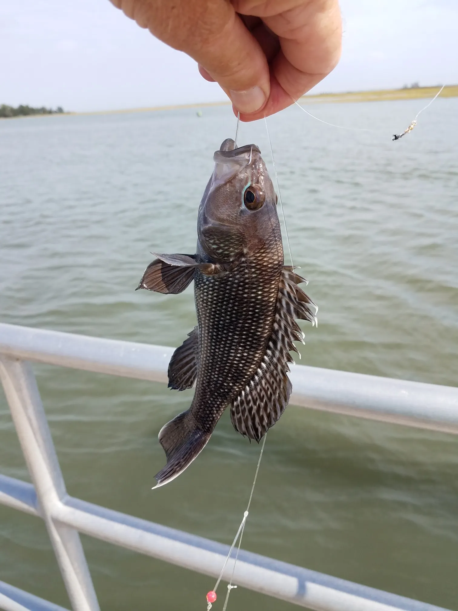 Post image from johnkerlish