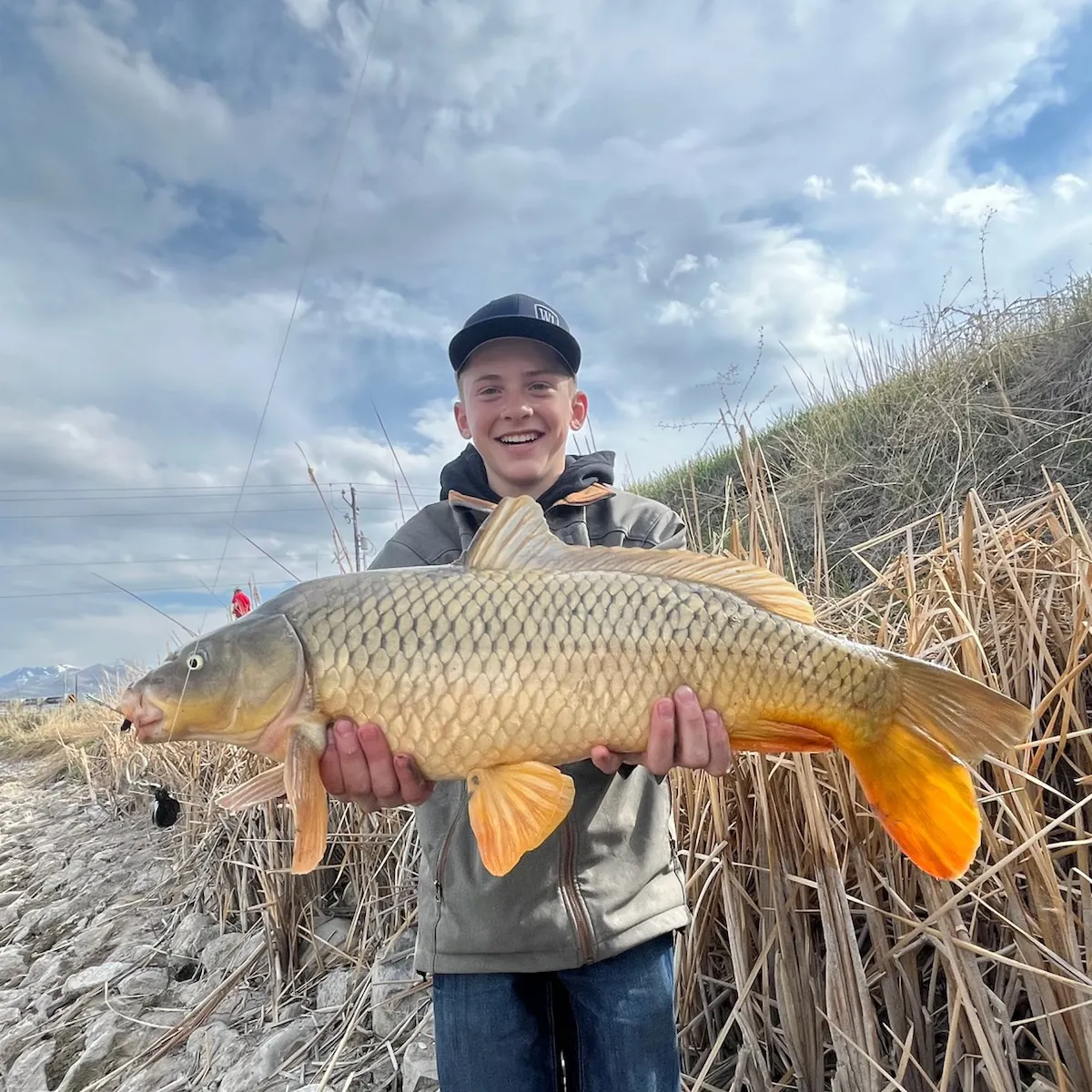 Common carp caught on Fishbrain