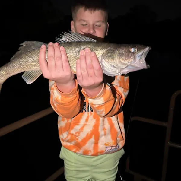 Walleye caught on Fishbrain