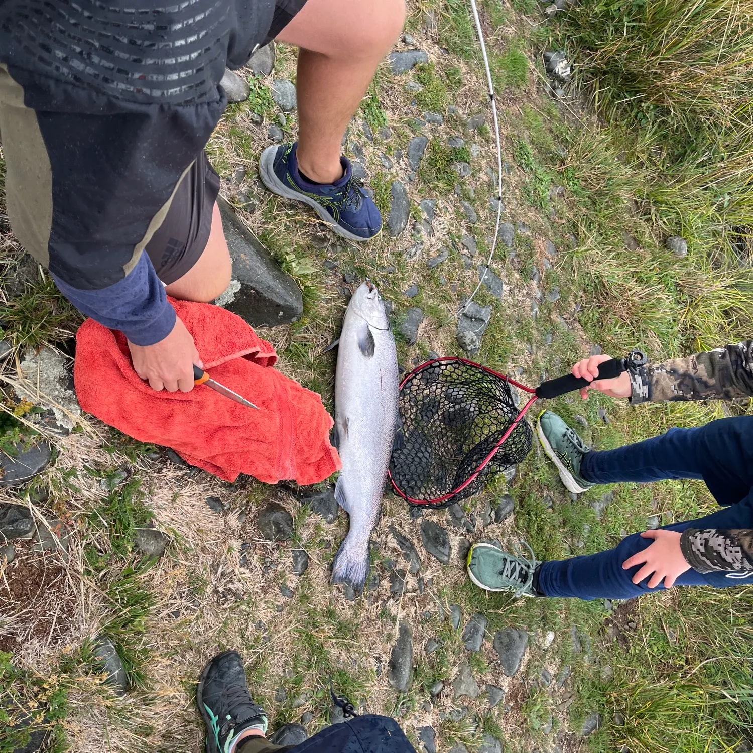 Chinook salmon caught on Fishbrain