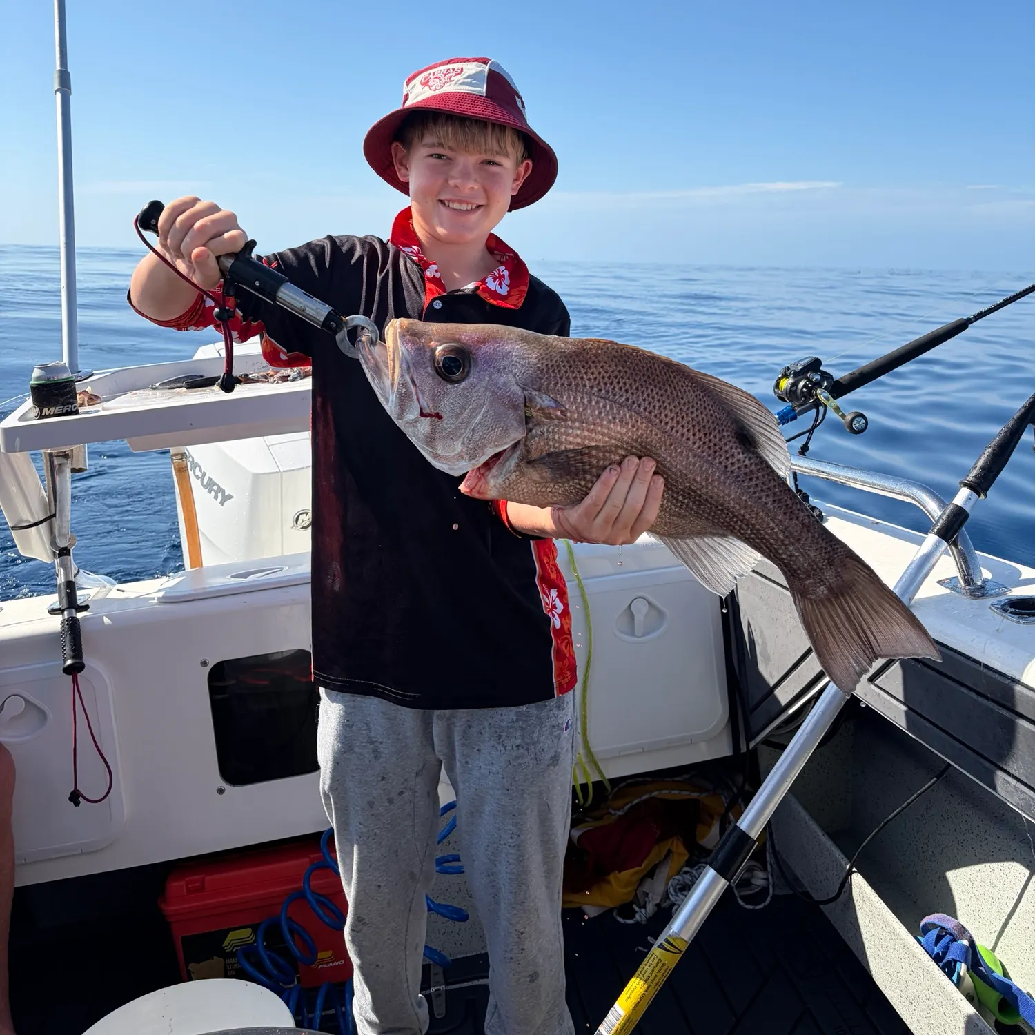 The most recent Pearl perch catches on Fishbrain