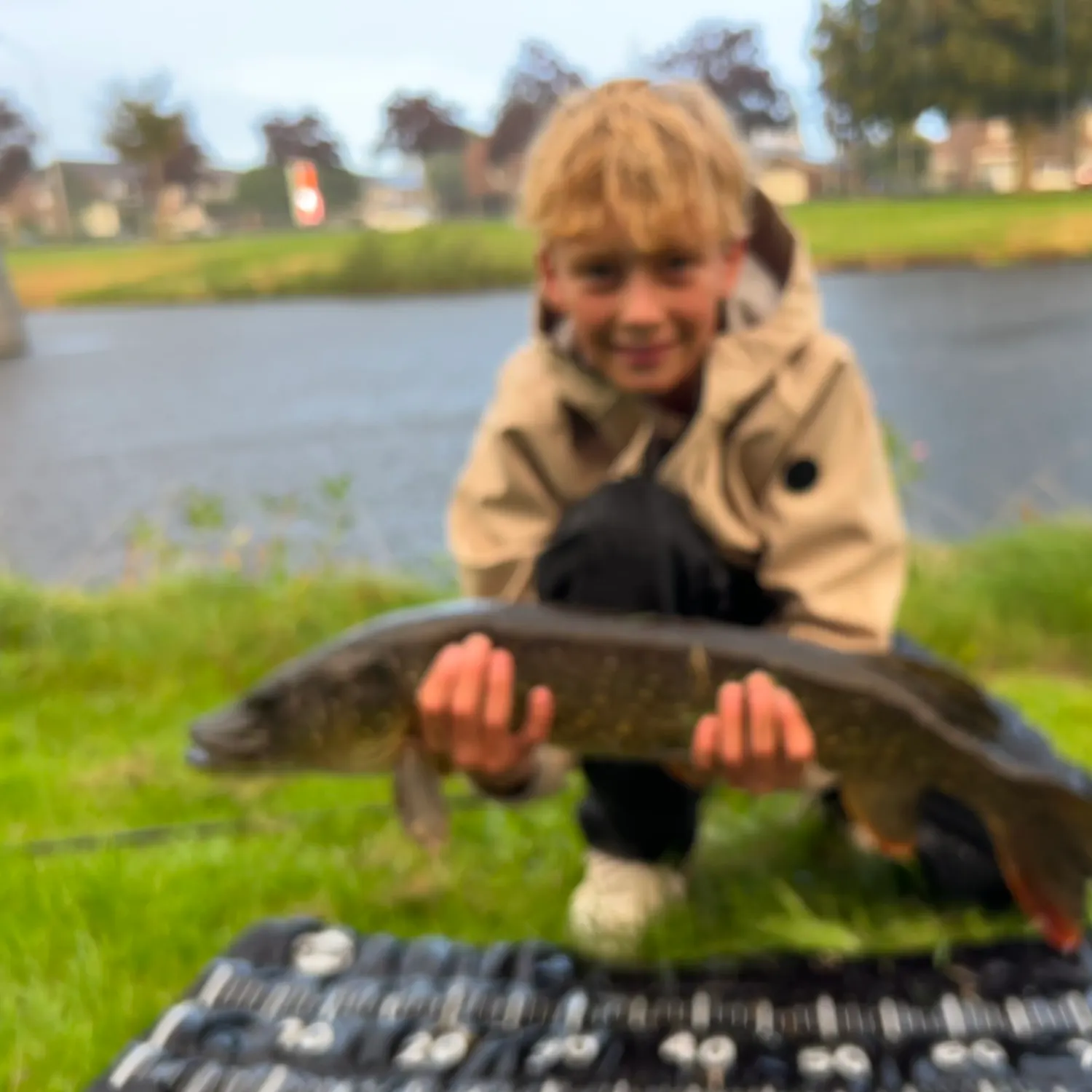 Northern pike caught on Fishbrain