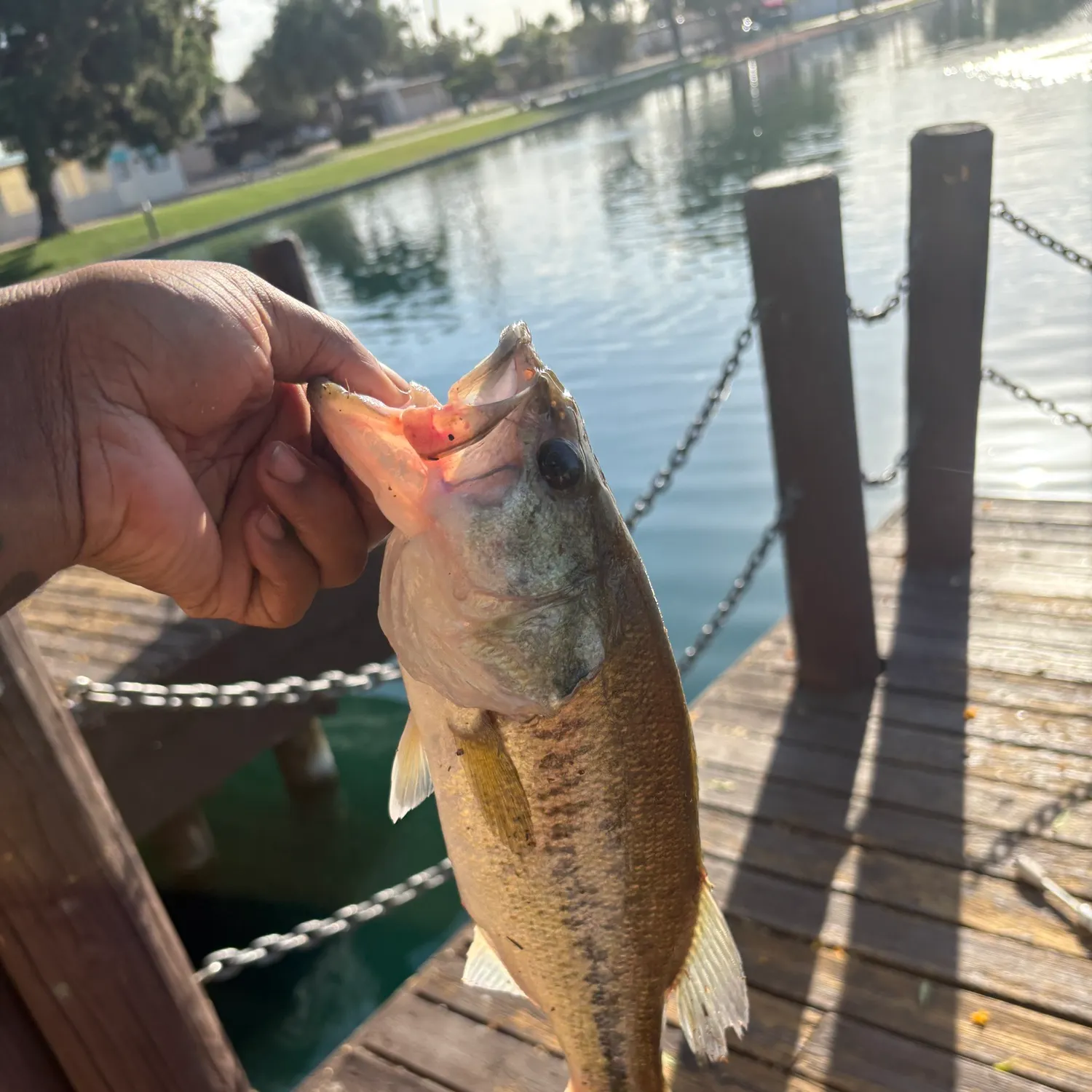 catch