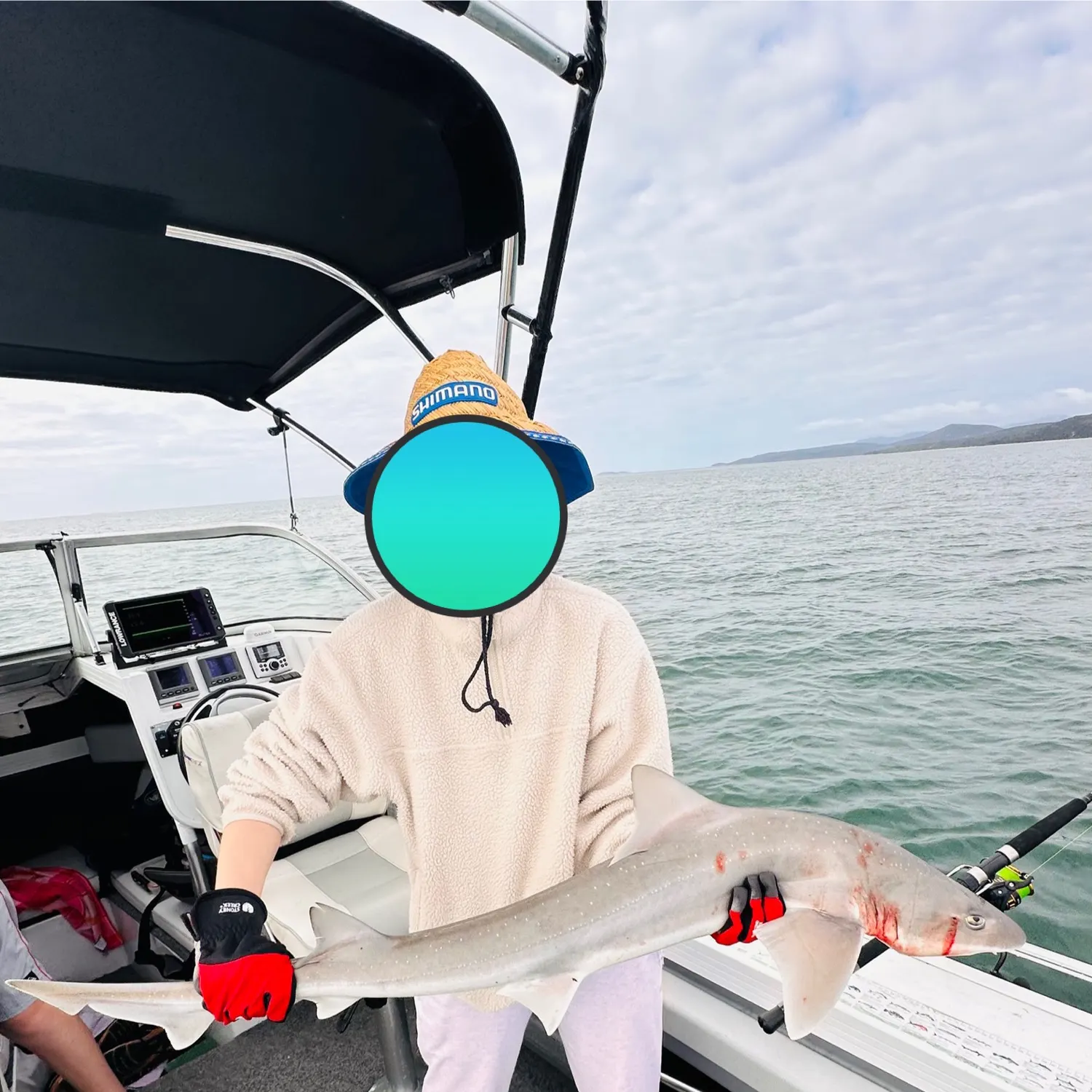 The most recent Gummy shark catches on Fishbrain